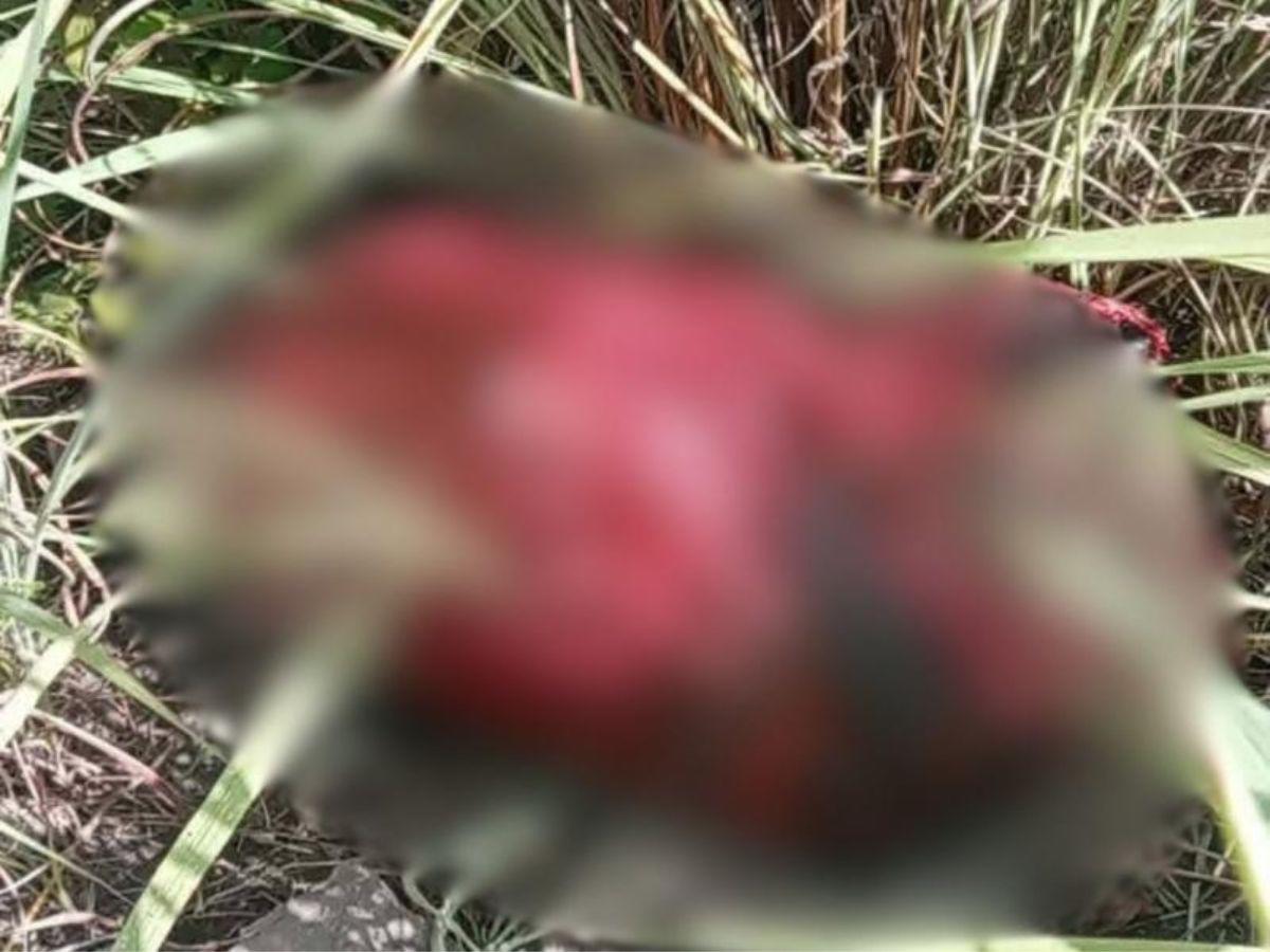 Hallan más extremidades donde encontraron el cuerpo desmembrado de Olvin Aguilera