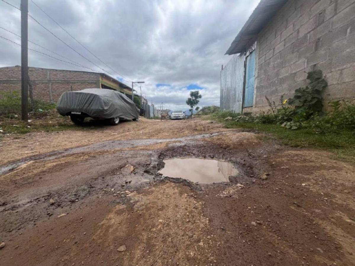 Calles destruidas complican la vida de familias en Monte de Los Olivos