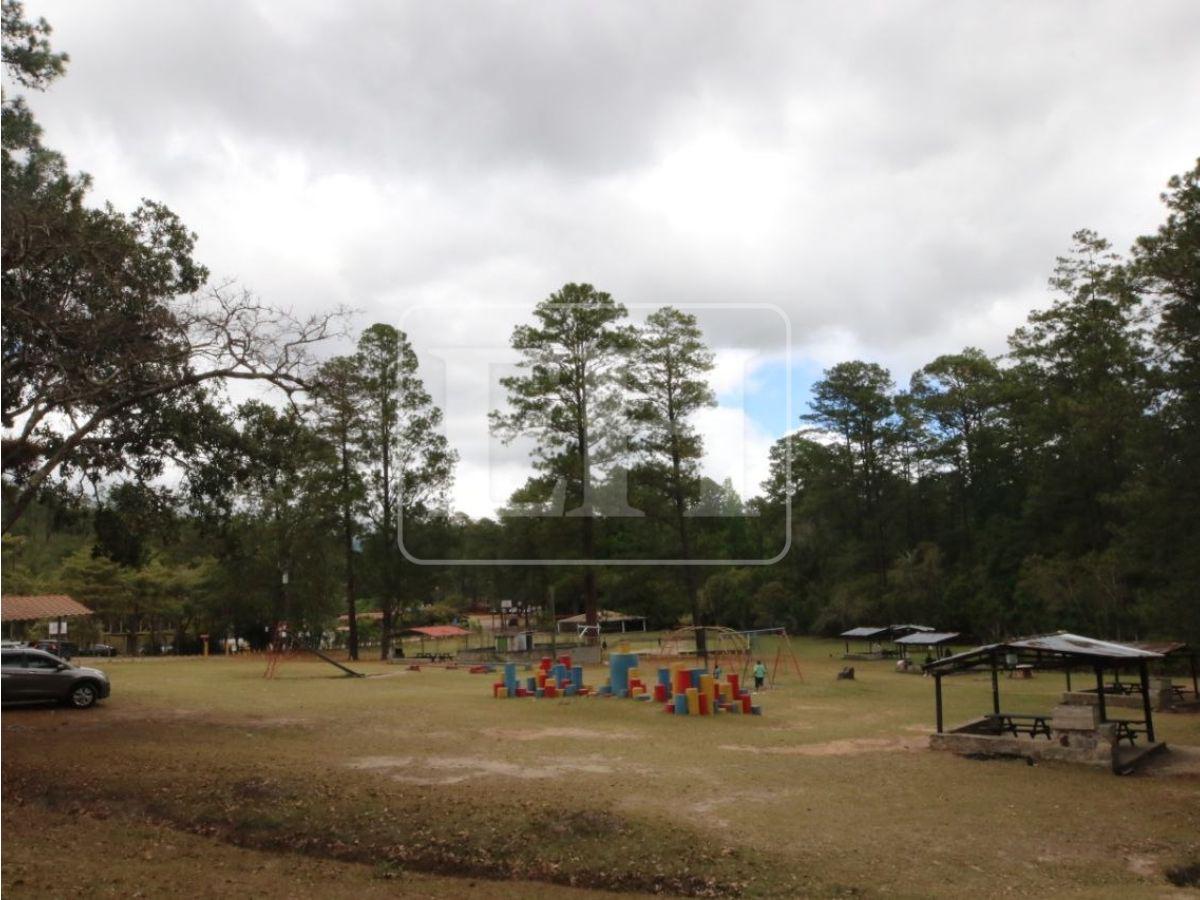 Frescura, fauna y viajes en bote de pedales: disfruta del Parque Aurora esta Semana Santa