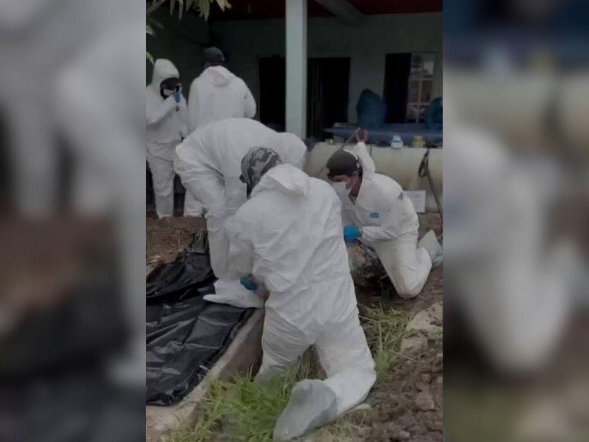 Localizan 32 cuerpos en fosa clandestina en Guanajuato, México