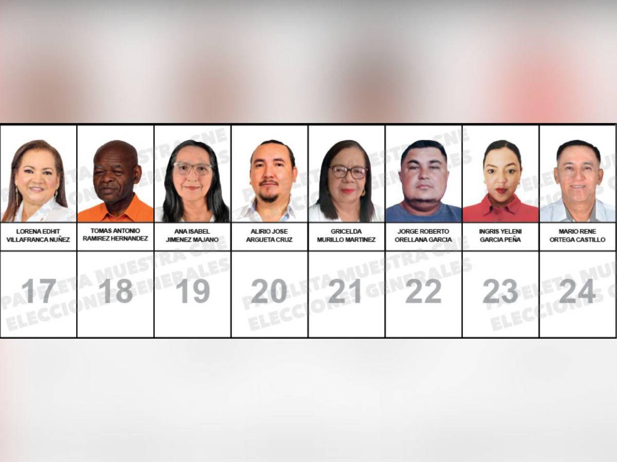 ¿Quiénes son los candidatos a diputados por el PINU-SD, de Nelson Ávila?