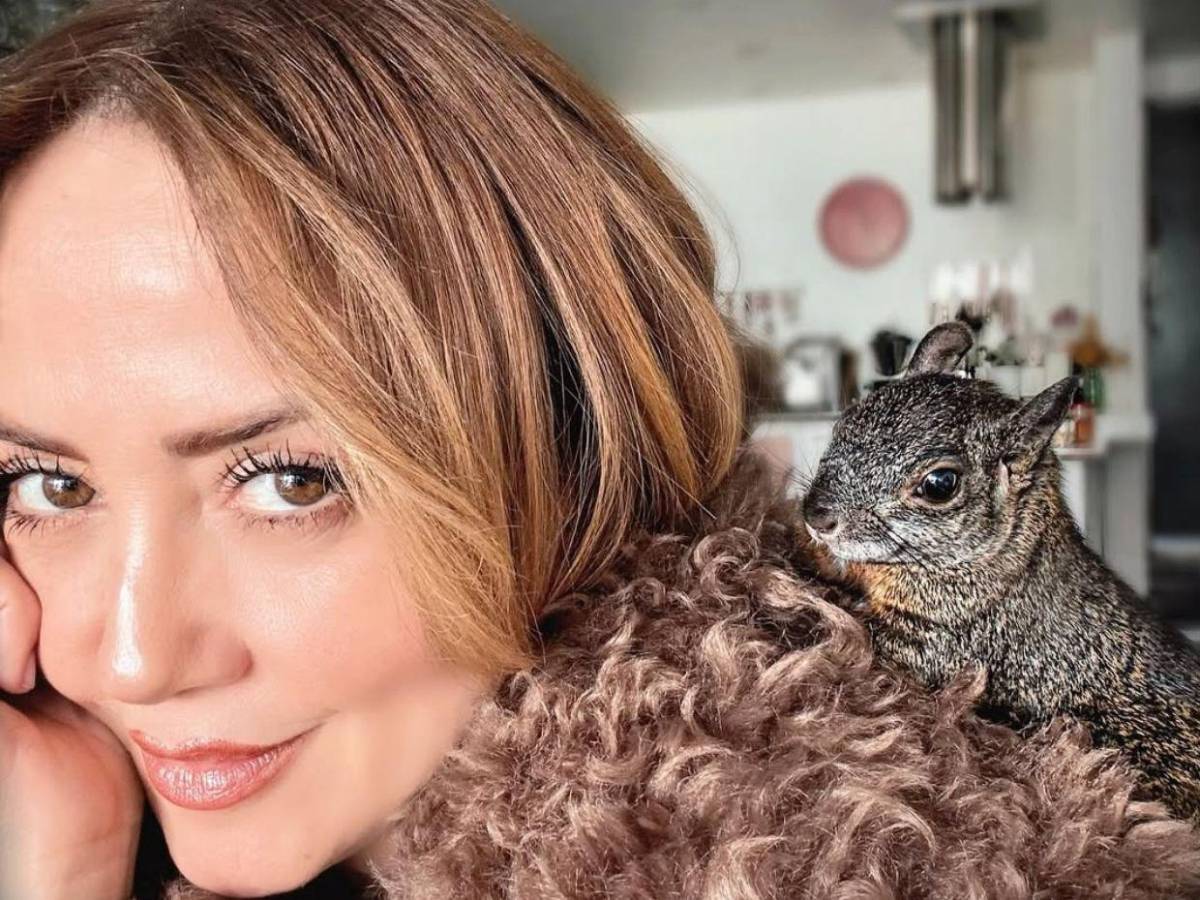 Novio de Andrea Legarreta habla por primera vez sobre su relación: Estamos muy contentos