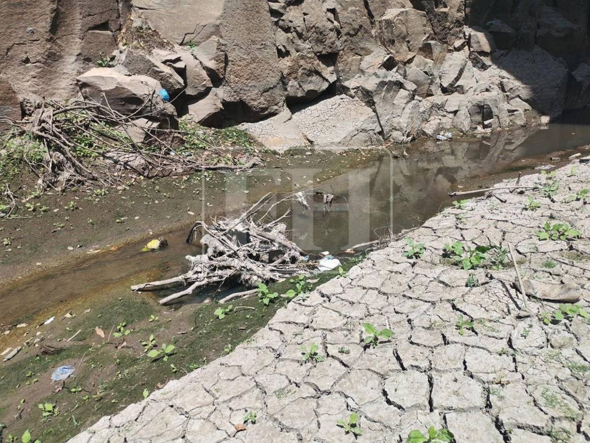 Como un hilo de agua: así está este 7 de septiembre el río Guacerique que agoniza por la sequía