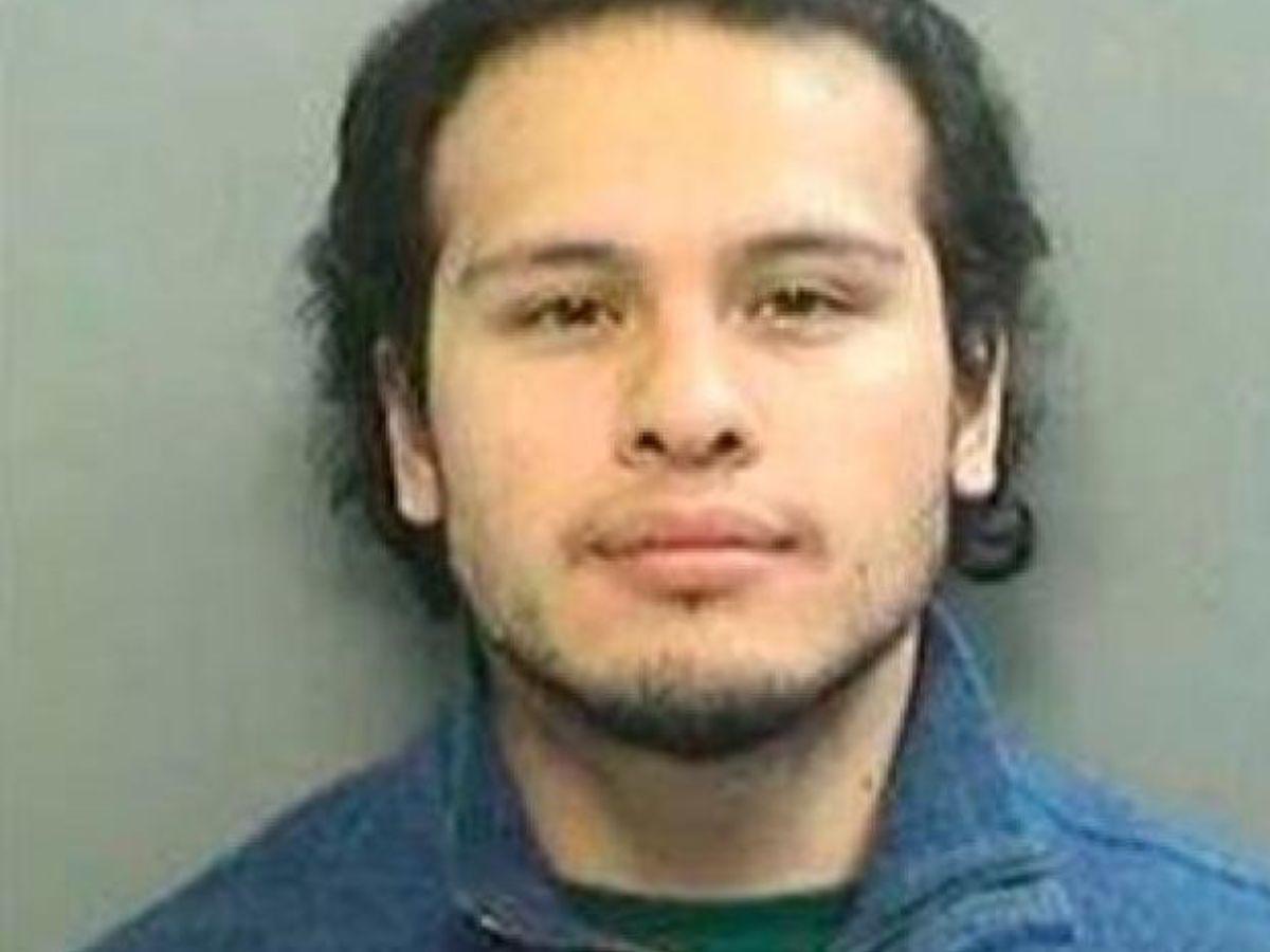 Los narcosobrinos de Cilia Flores: Efraín Campo y Franqui Flores en un caso de narcotráfico