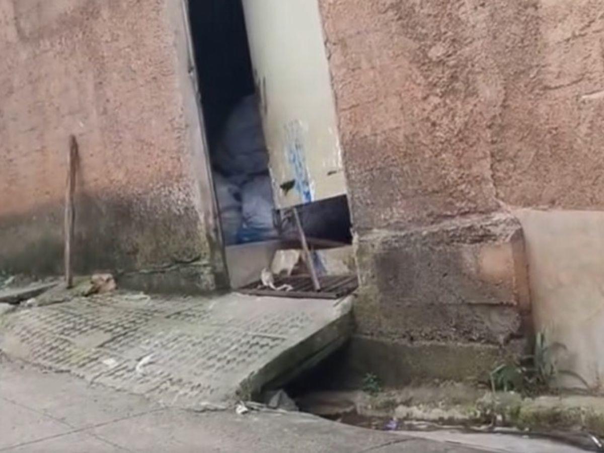 Tenía moretes y heridas en su abdomen: así hallaron a Jhonny en fábrica de El Tablón