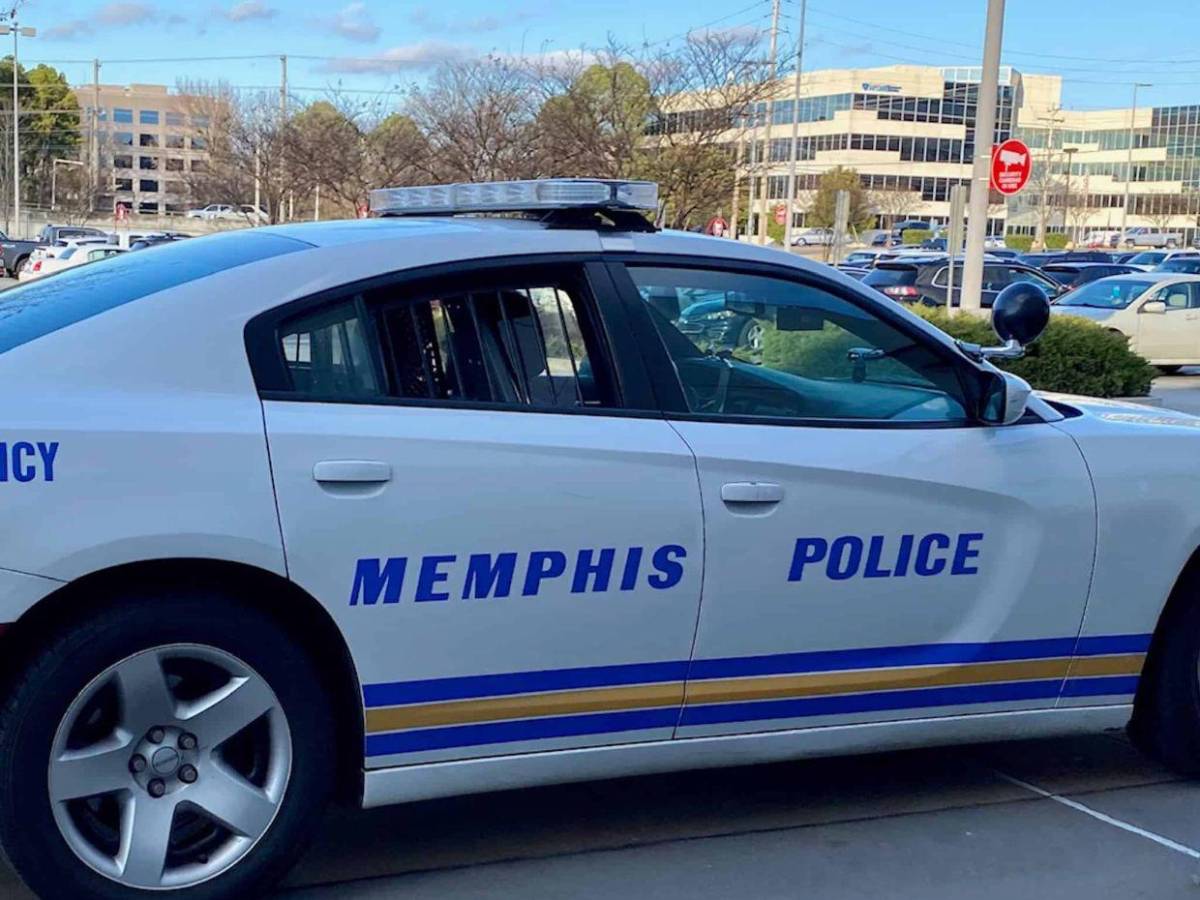 Pitbull dispara un arma por accidente contra su dueño en Memphis, Estados Unidos