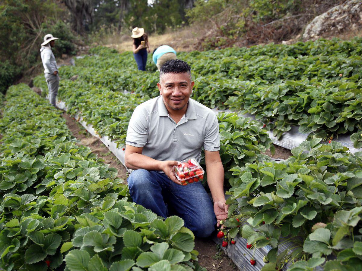 La eterna primavera floral del municipio de Santa Lucía, Francisco Morazán