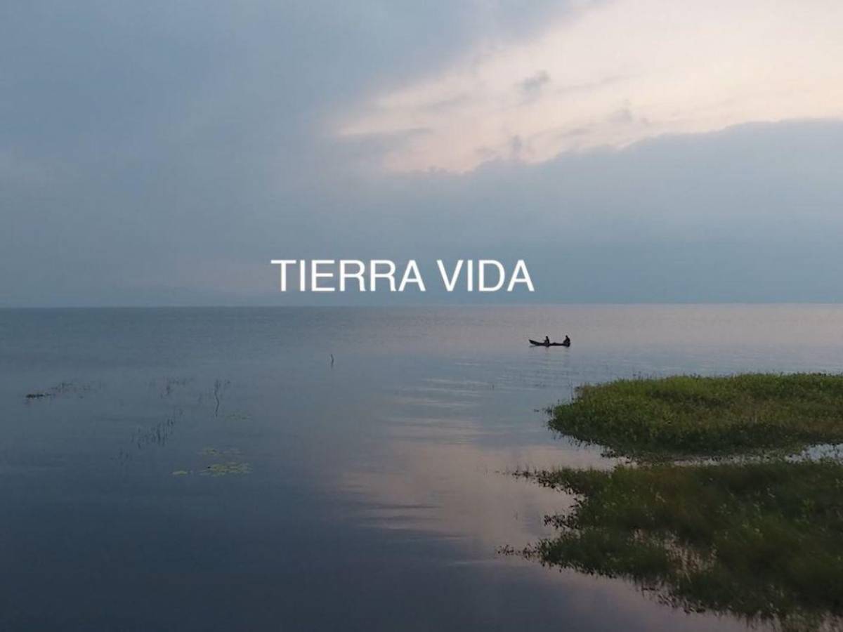 Animación y drama: Estos son los cortos para ver este sábado en el MIN