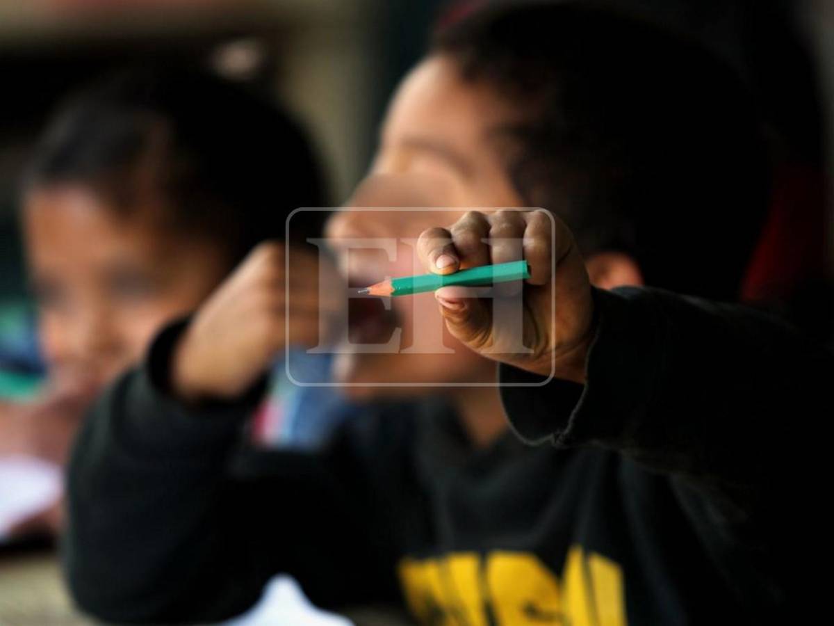 4 de cada 10 menores que trabajan tienen entre 5 y 9 años: las crudas cifras del trabajo infantil en Honduras