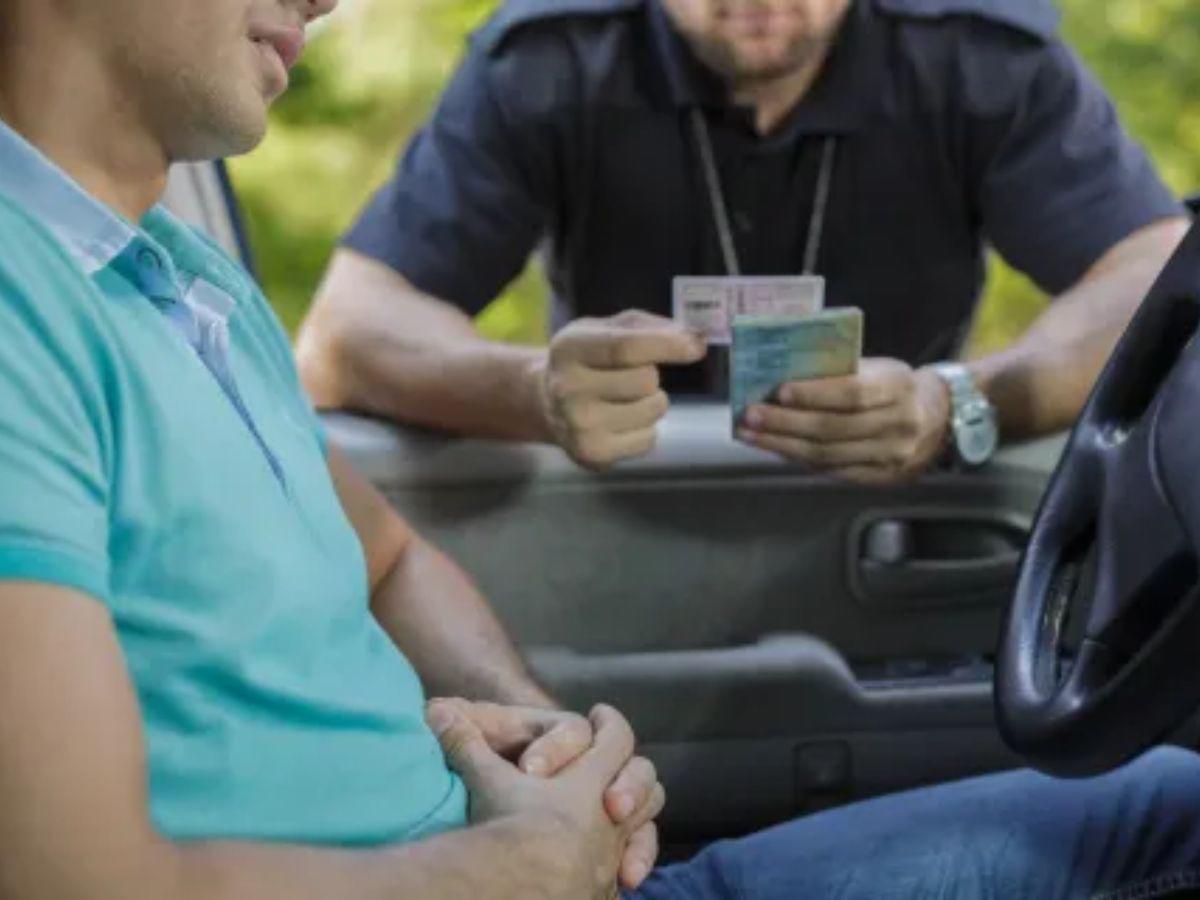 Inmigrantes indocumentados pueden manejar legalmente en este estado, aquí los requisitos