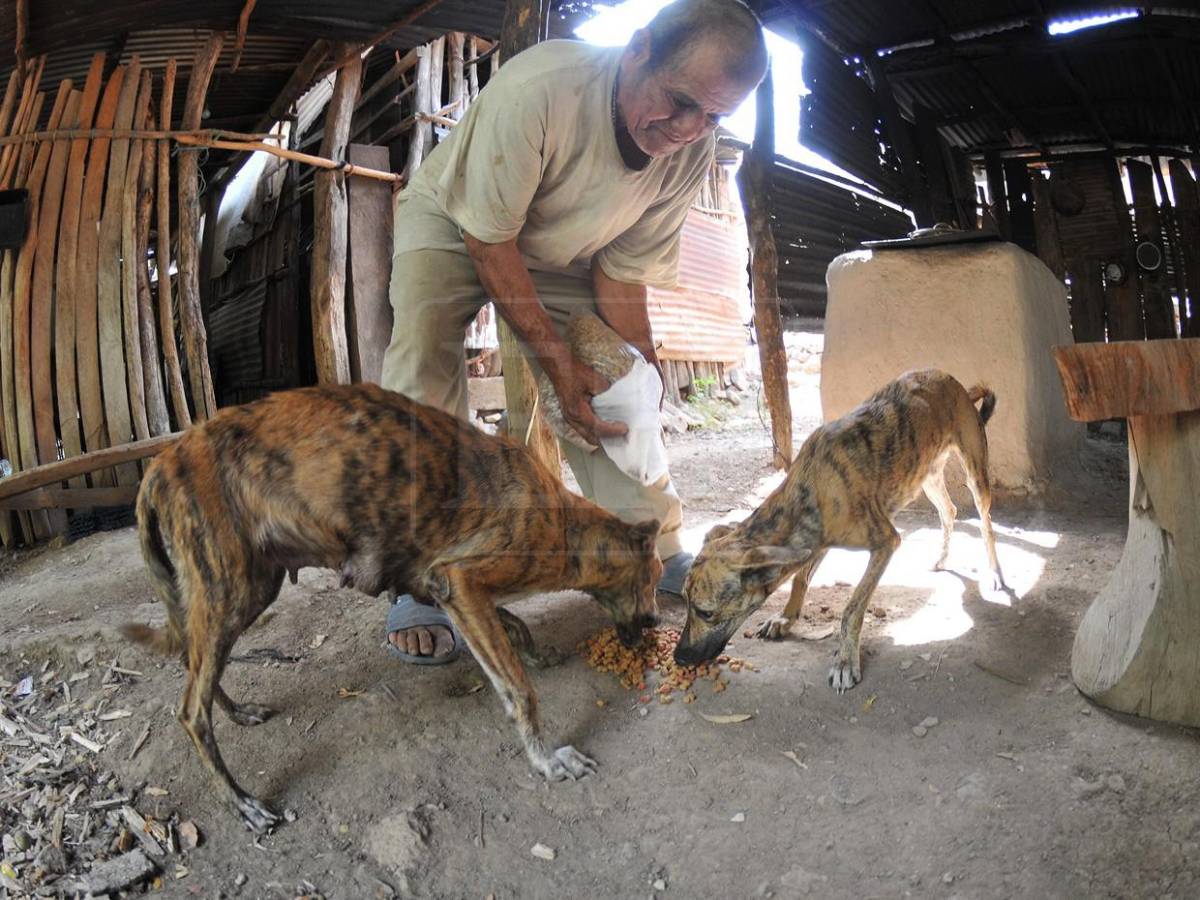 La ayuda también los abarcó: mascotas reciben alimento en el Corredor Seco