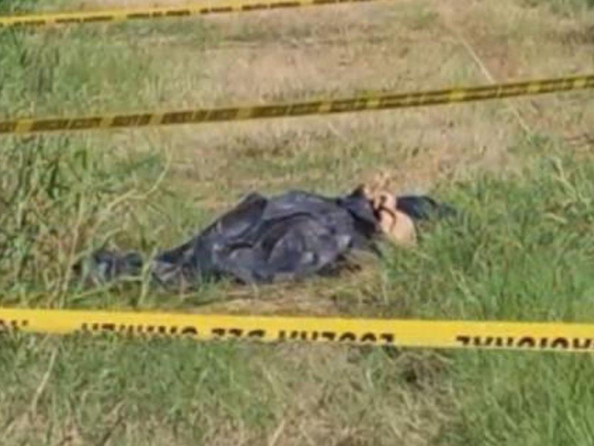 Estaba embarazada: sicarios sacaron a Ana y a Kelvin de su negocio y los asesinaron en Cortés