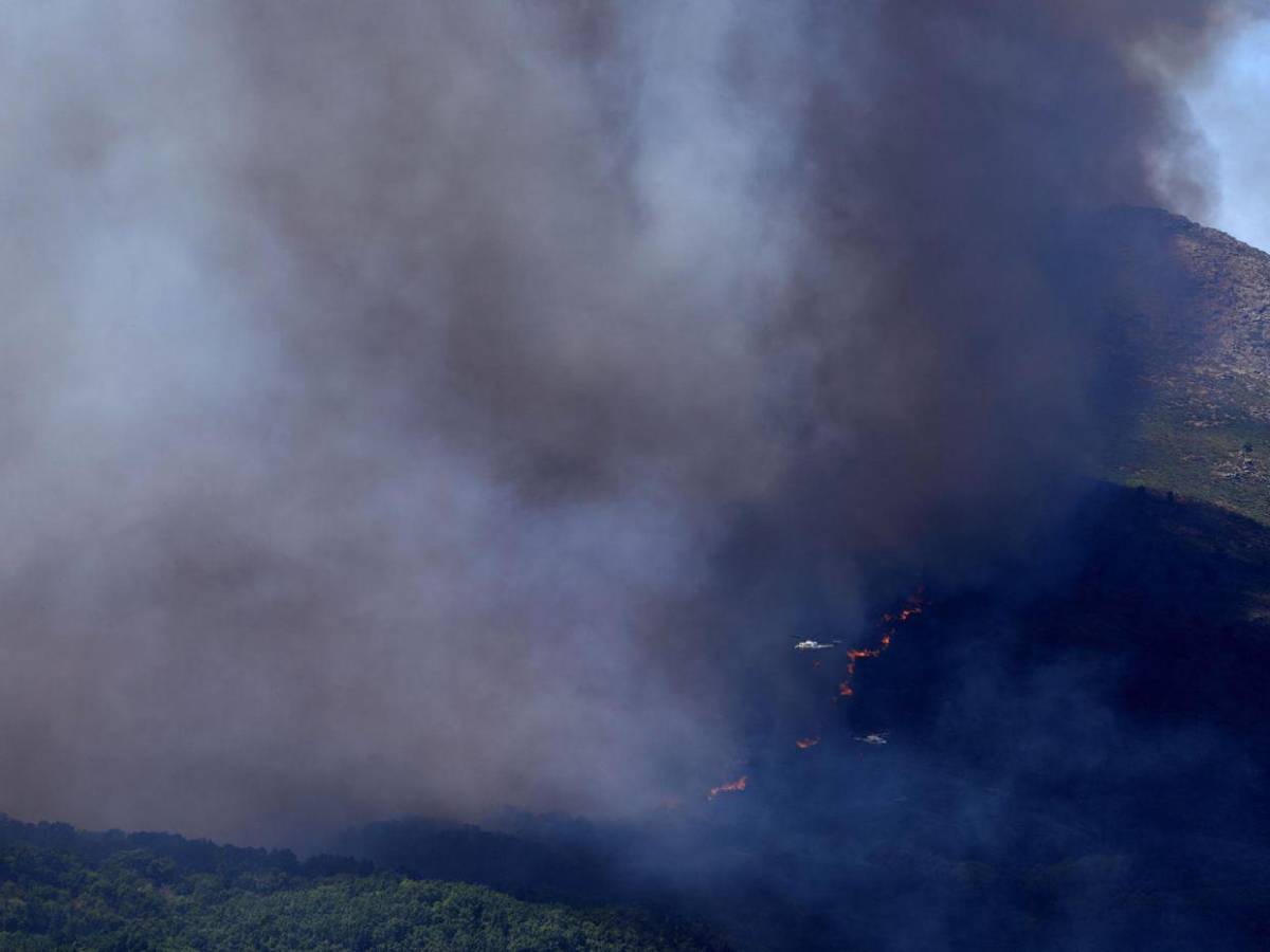 160 kilómetros de destrucción: el paisaje negro del peor incendio de la historia de España