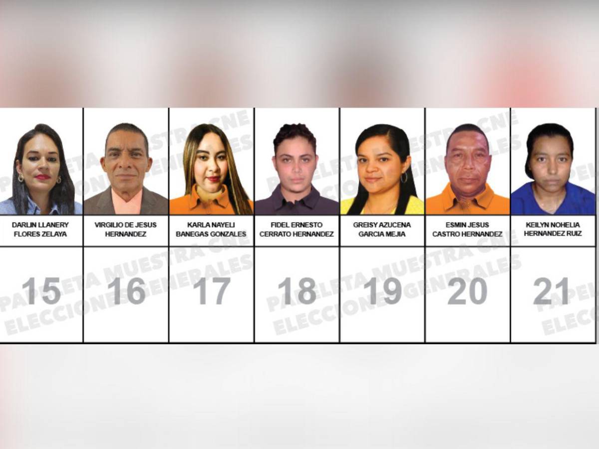 ¿Quiénes son los candidatos a diputados por el PINU-SD, de Nelson Ávila?