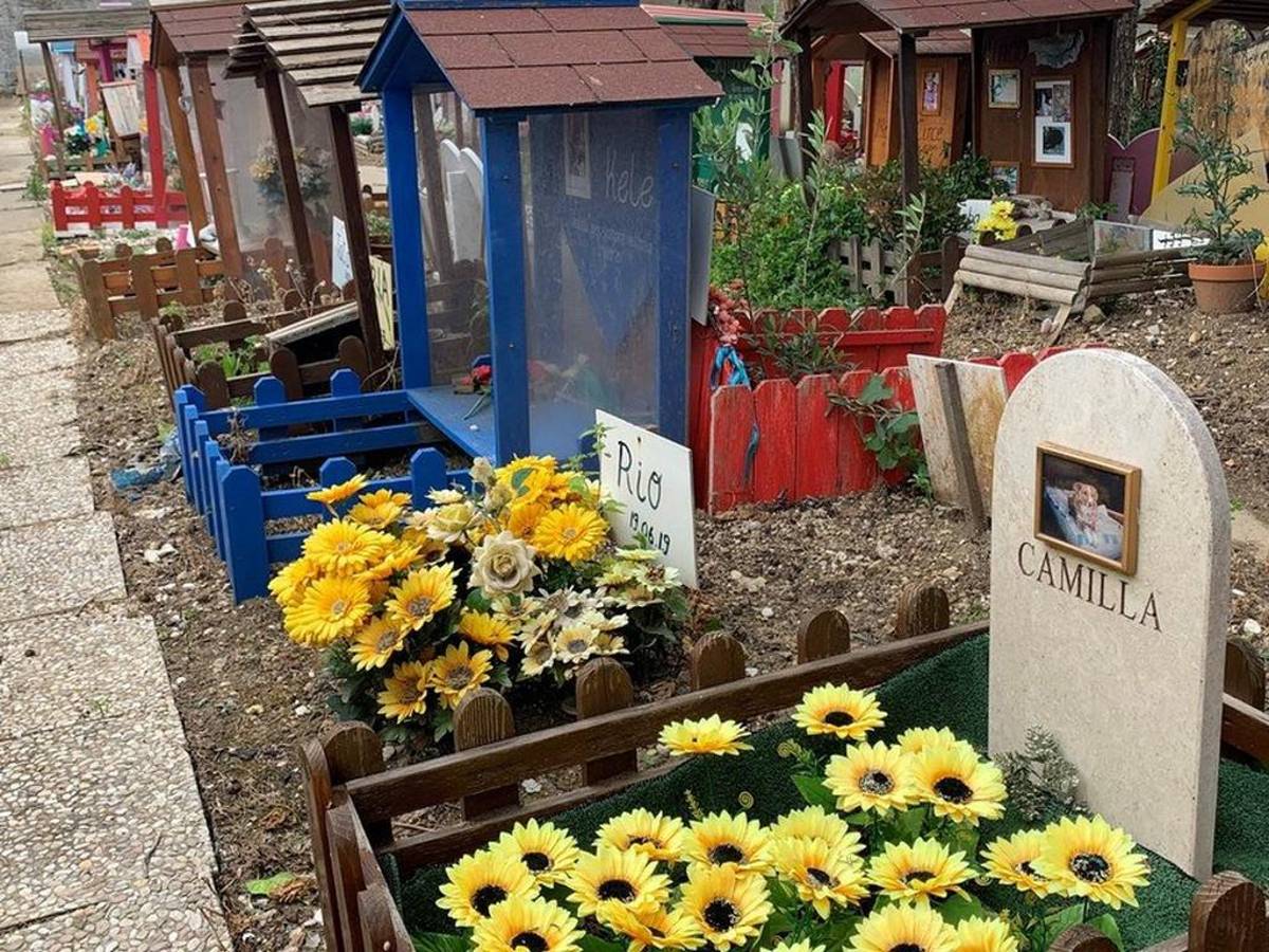 La gallina de Mussolini, estrella del cementerio para animales de Roma