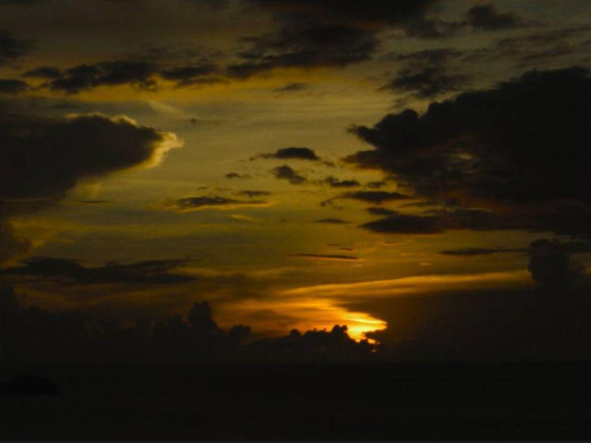 Animación y drama: Estos son los cortos para ver este sábado en el MIN