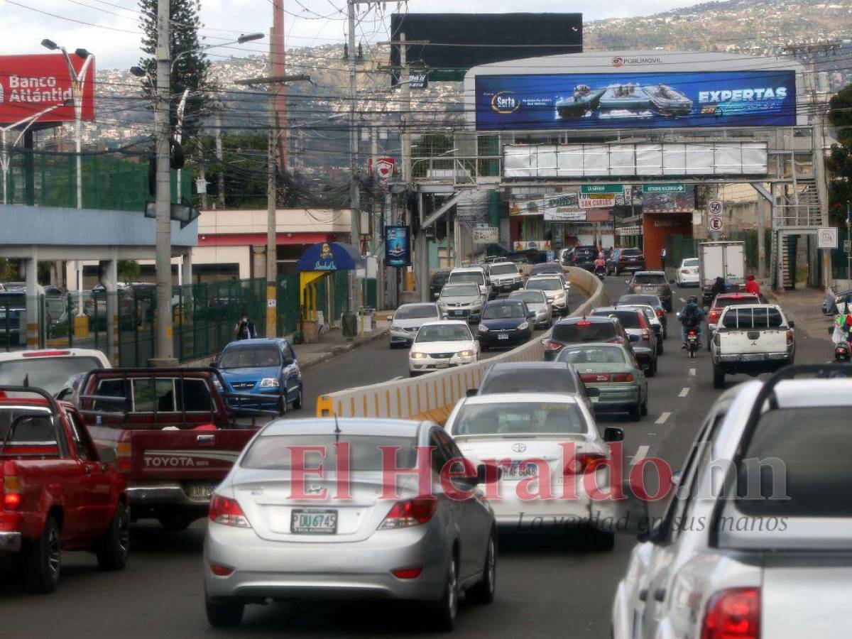 Honduras: De cada diez licencias de conducir emitidas solo dos son para mujeres