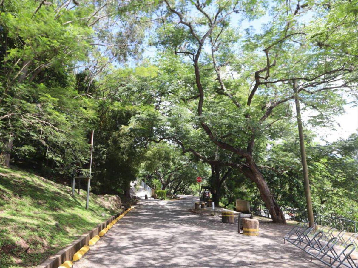 ¿Qué lugares puedo visitar sin salir de Tegucigalpa durante la Semana Santa?