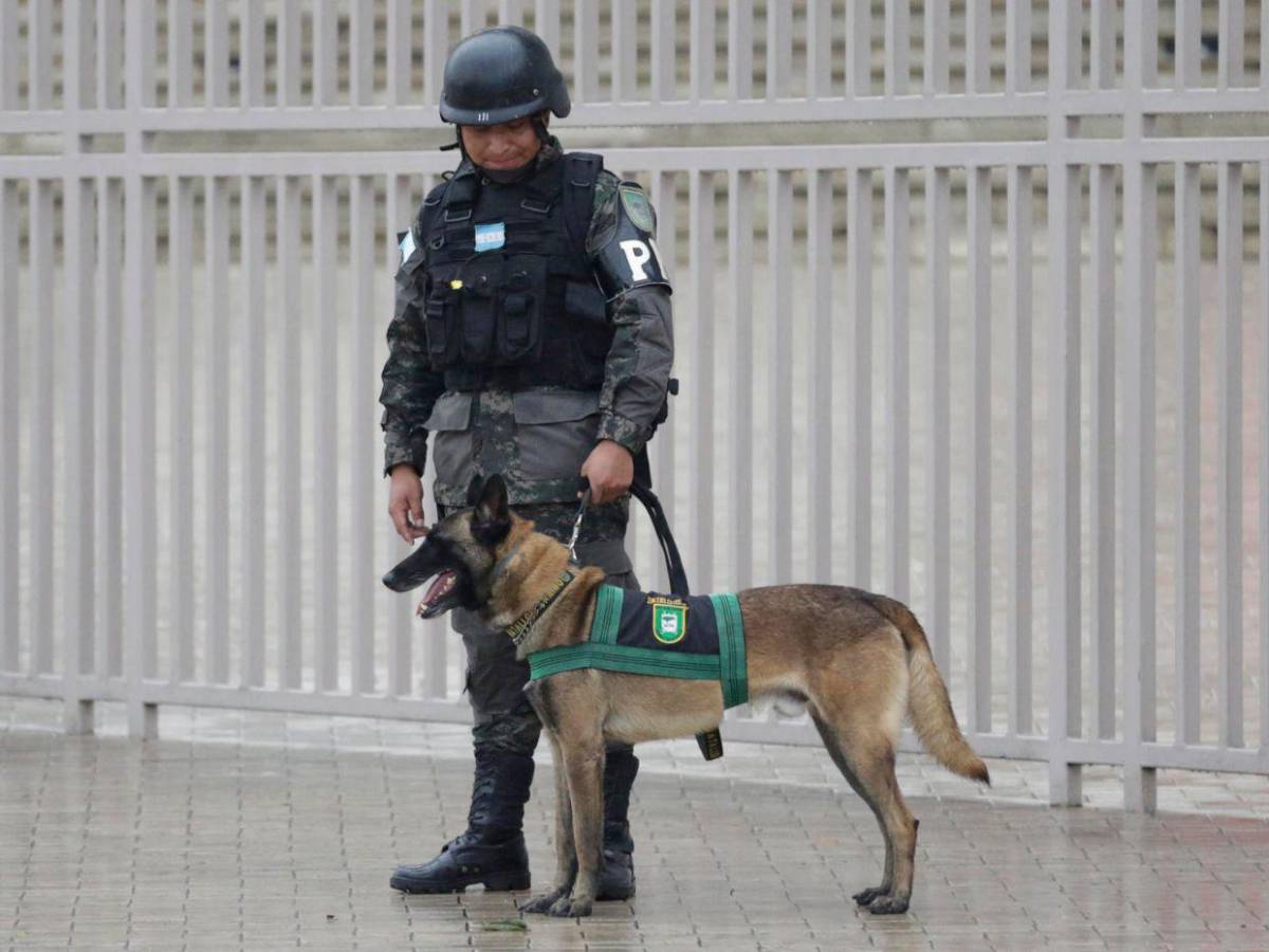 Fuerte resguardo militar en el BCH, sede de la IX Cumbre de la Celac