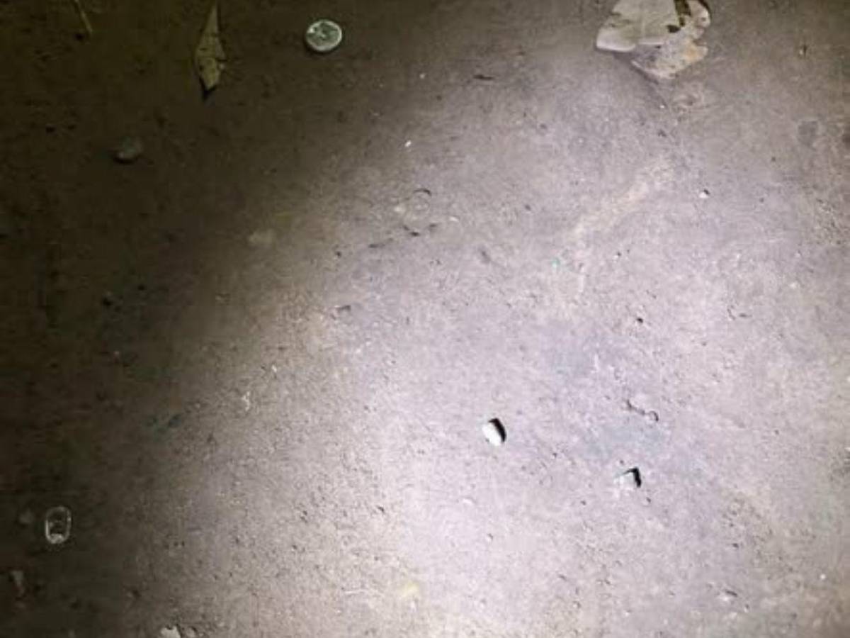 Briseida subía fotos con armas y chalecos y fue asesinada por sicarios