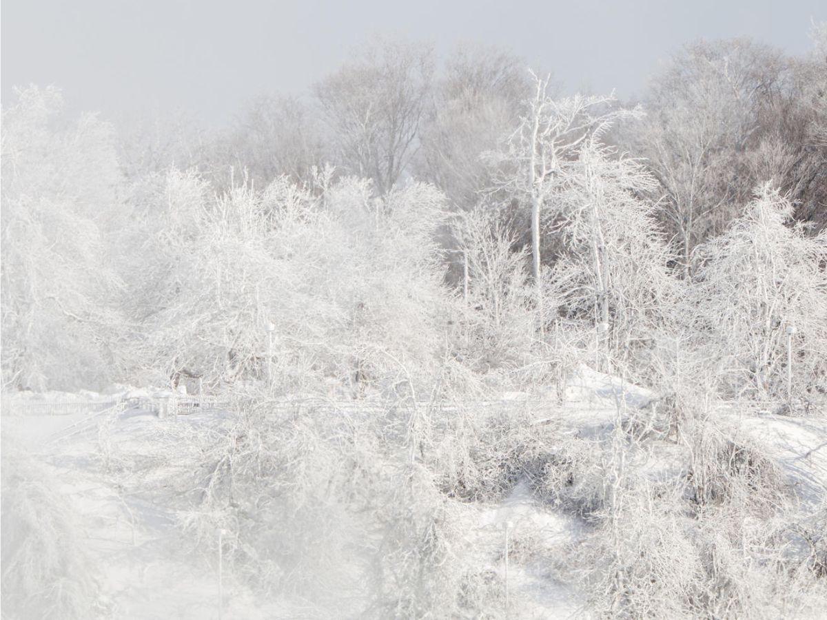EN FOTOS: Cataratas del Niágara congeladas y bajo -55° por una masa de aire ártico