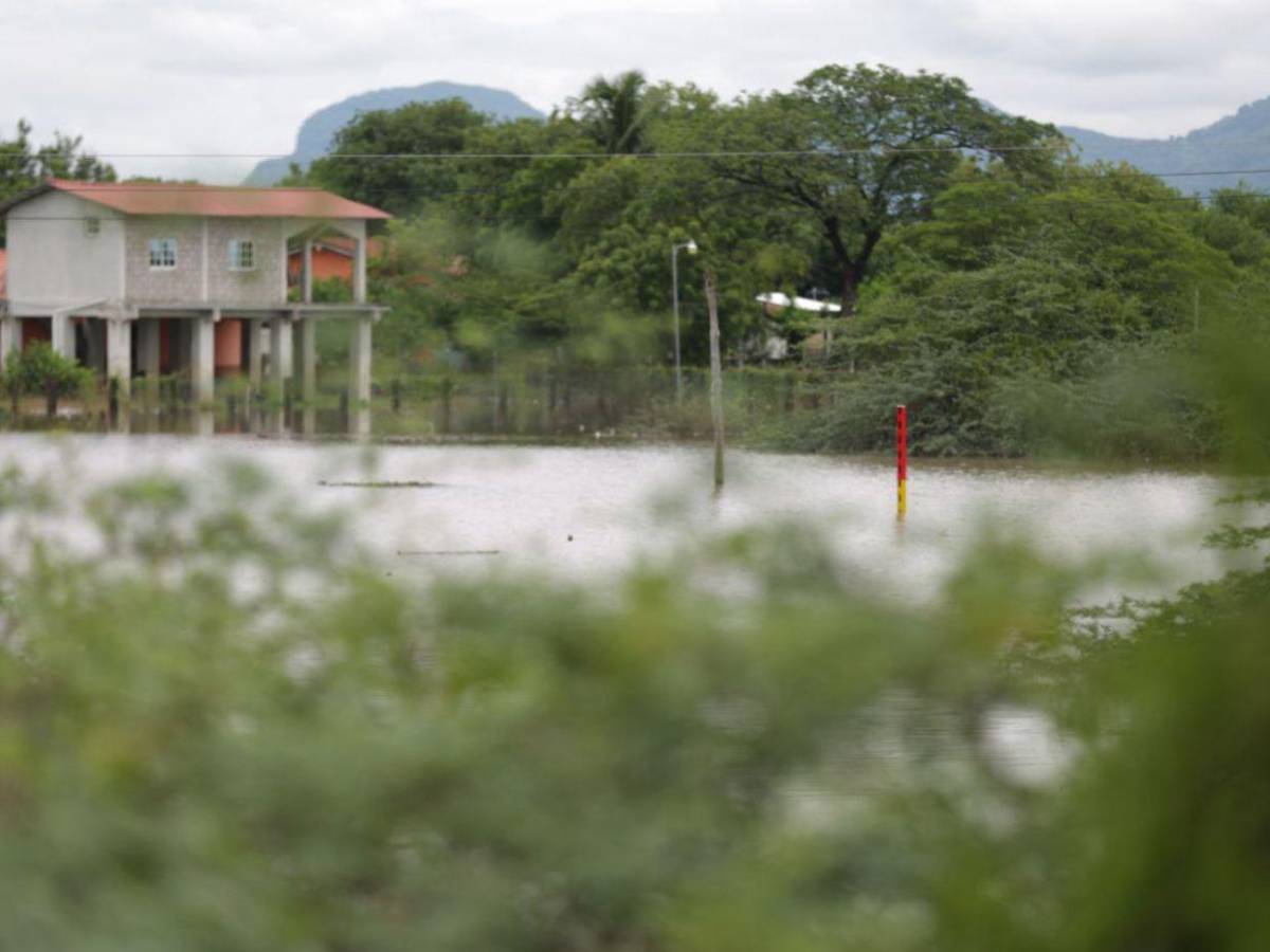Crisis en Costa de los Amates: inundaciones, cocodrilos y esperanza en medio del caos