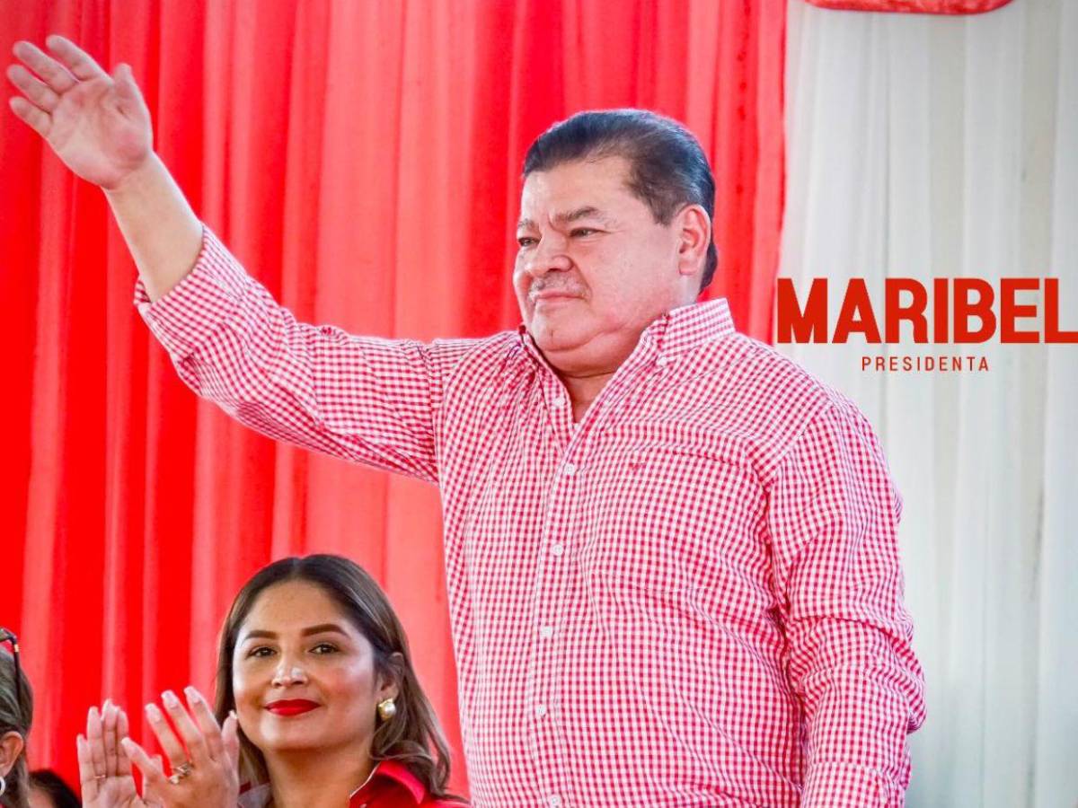 Diputados con más de una década en el Congreso Nacional que buscan reelegirse