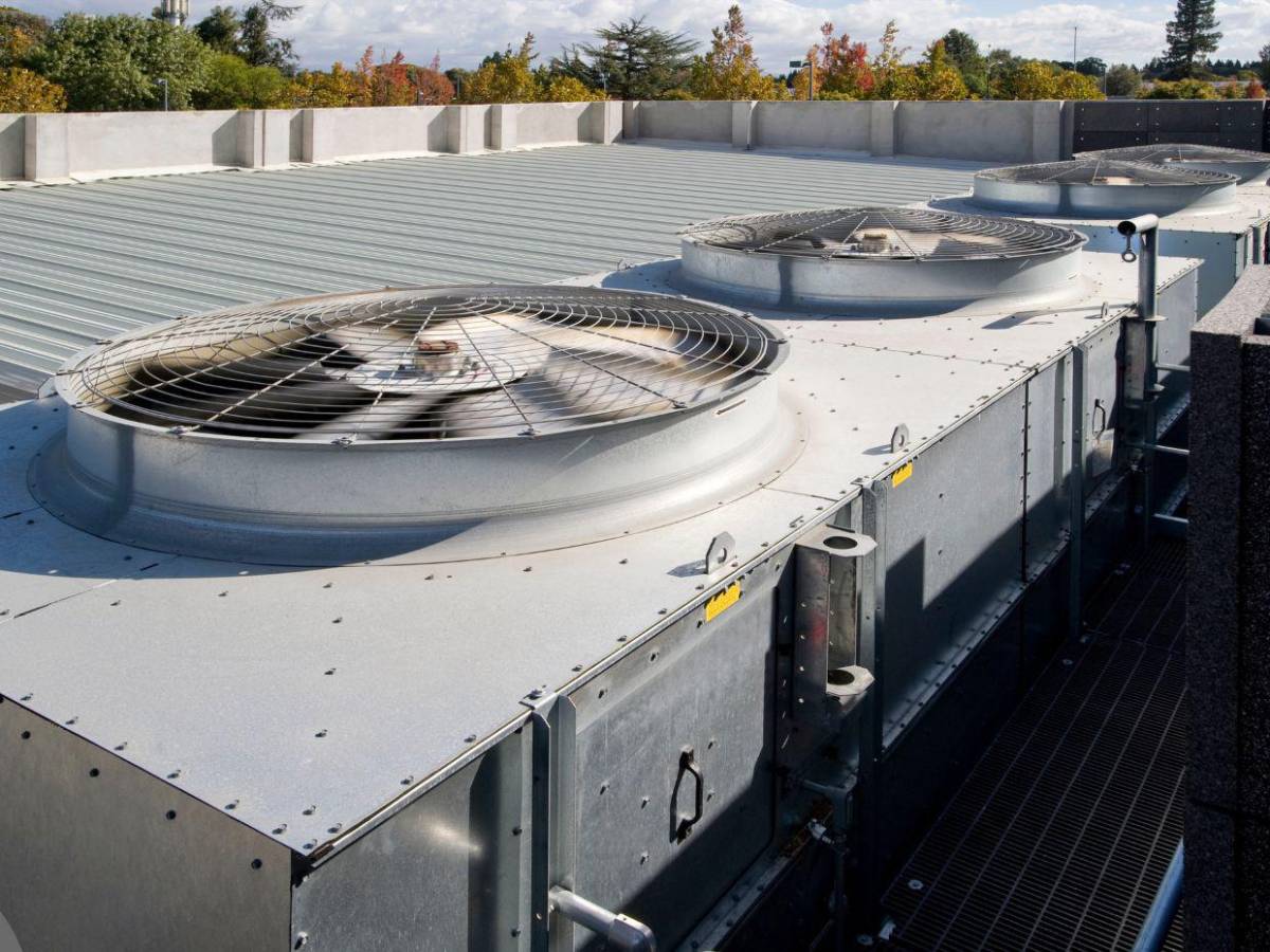 ¿Qué es la enfermedad del legionario, infección que tiene en alerta a Nueva York?