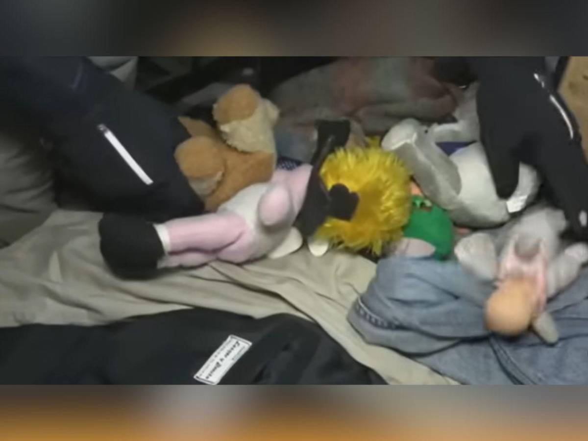 Así operaba el Duende, depredador que producía material de abuso infantil