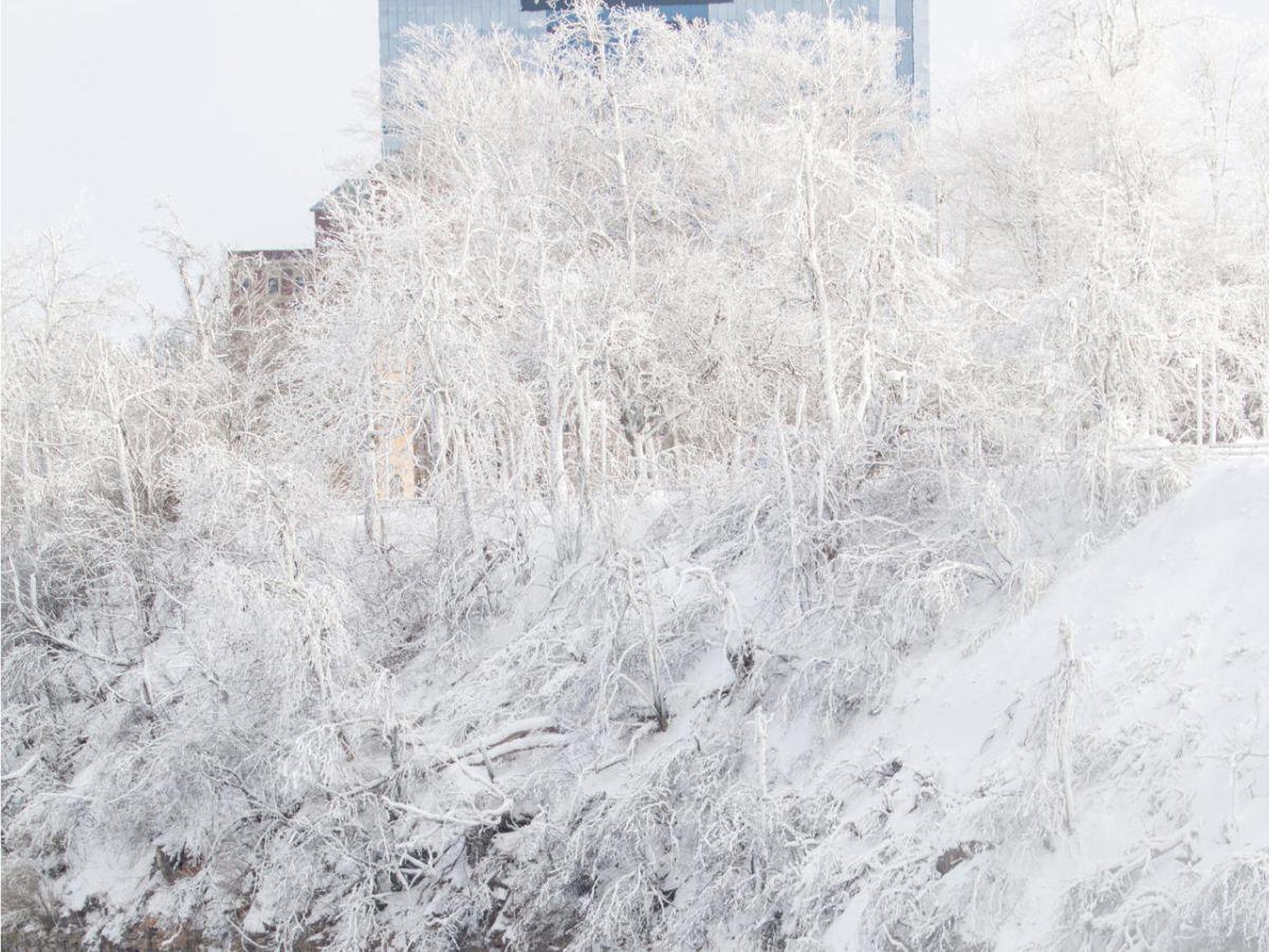 EN FOTOS: Cataratas del Niágara congeladas y bajo -55° por una masa de aire ártico