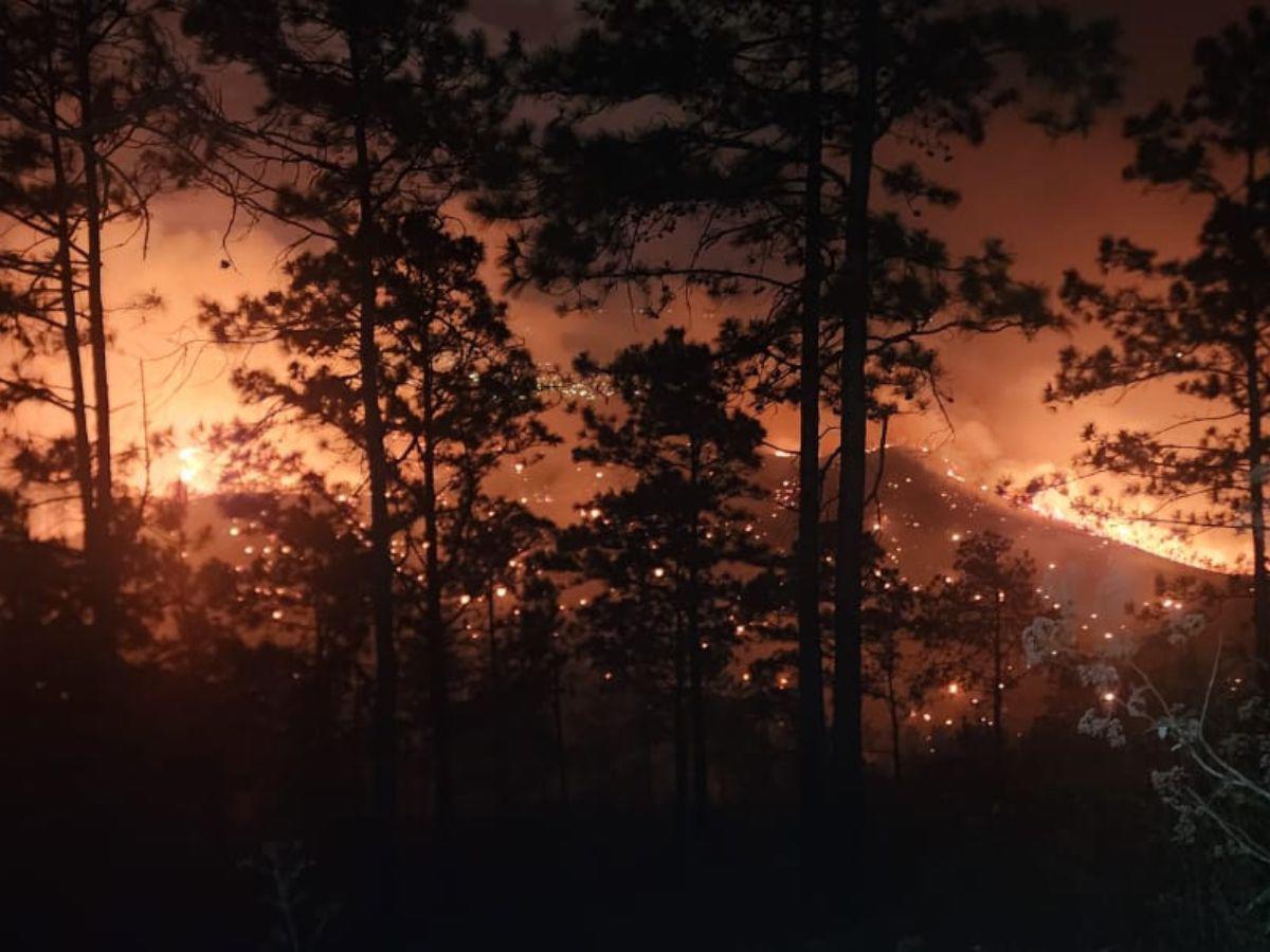 ¡Arde en llamas Triquilapa! El fuego devora uno de los pulmones de Tegucigalpa
