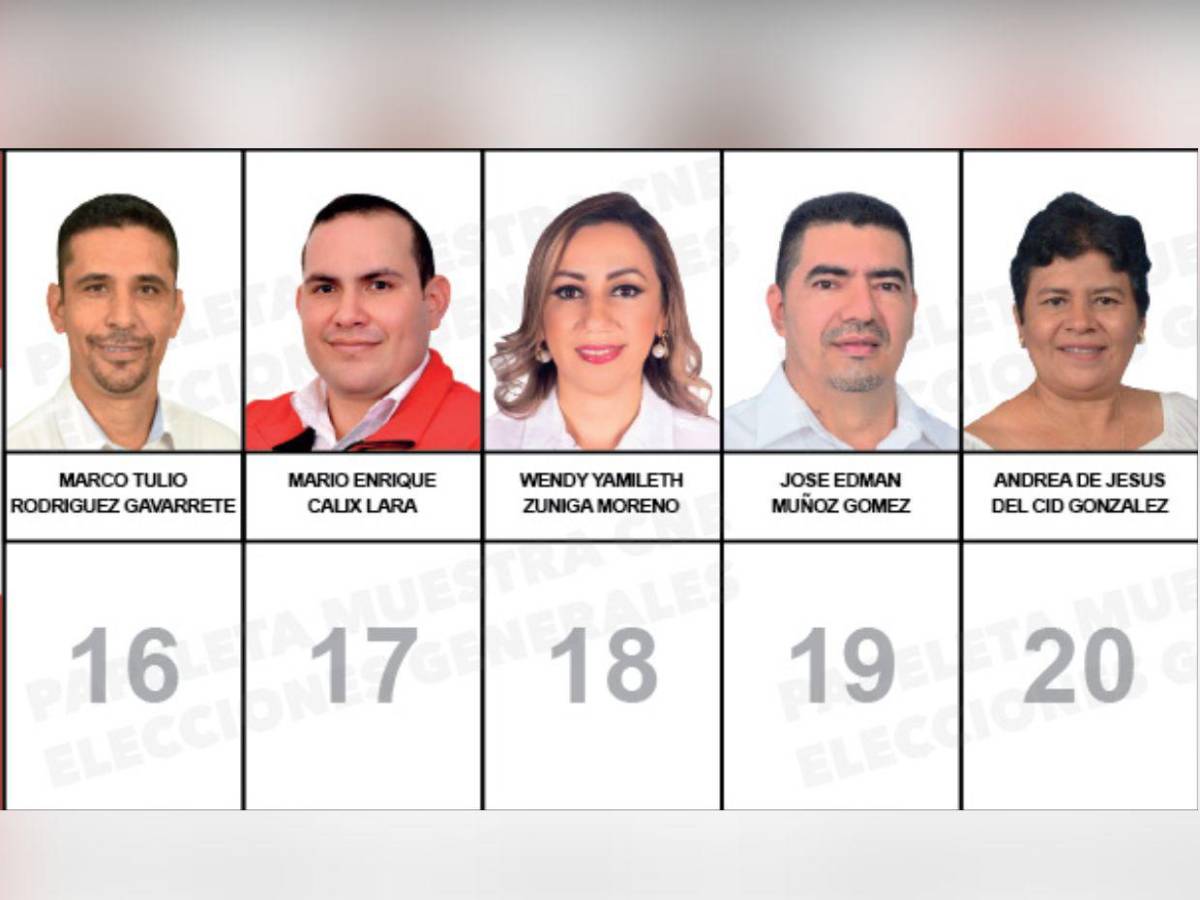 Diputados que buscan reelección y nuevos aspirantes integran la papeleta del Partido Liberal