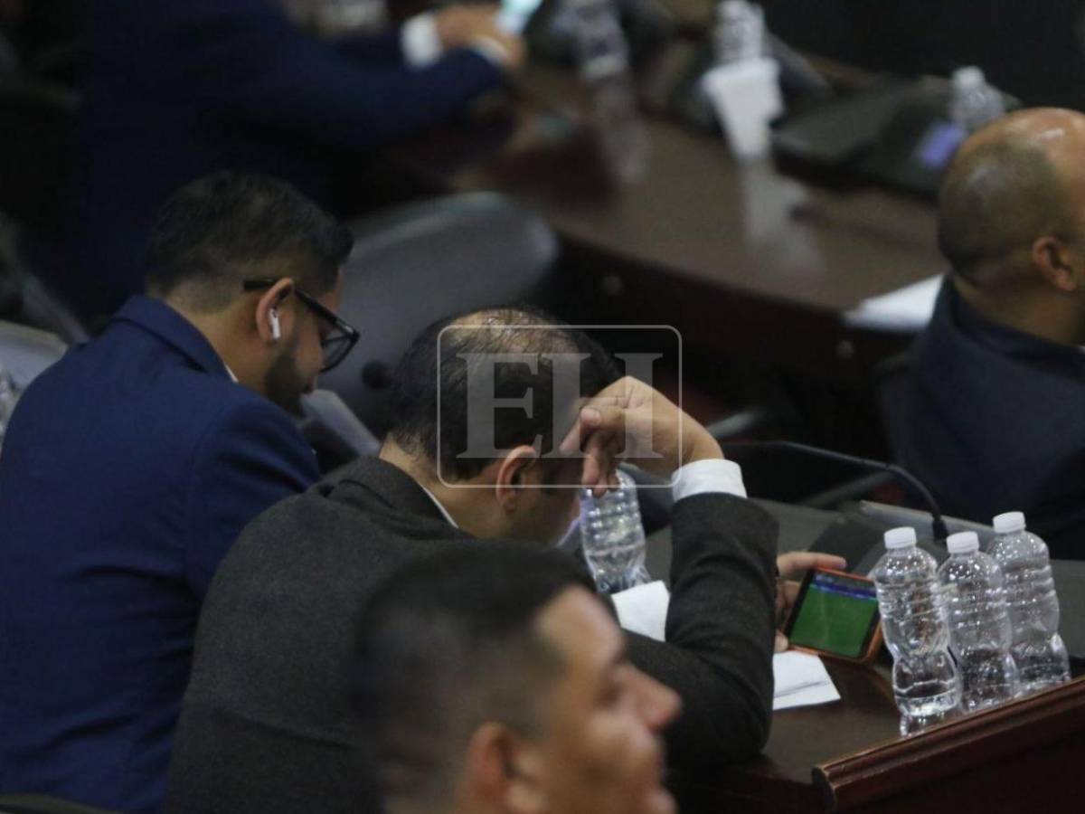 Sesión del CN se realizó con diputados y periodistas viendo a Messi y Argentina en el Mundial