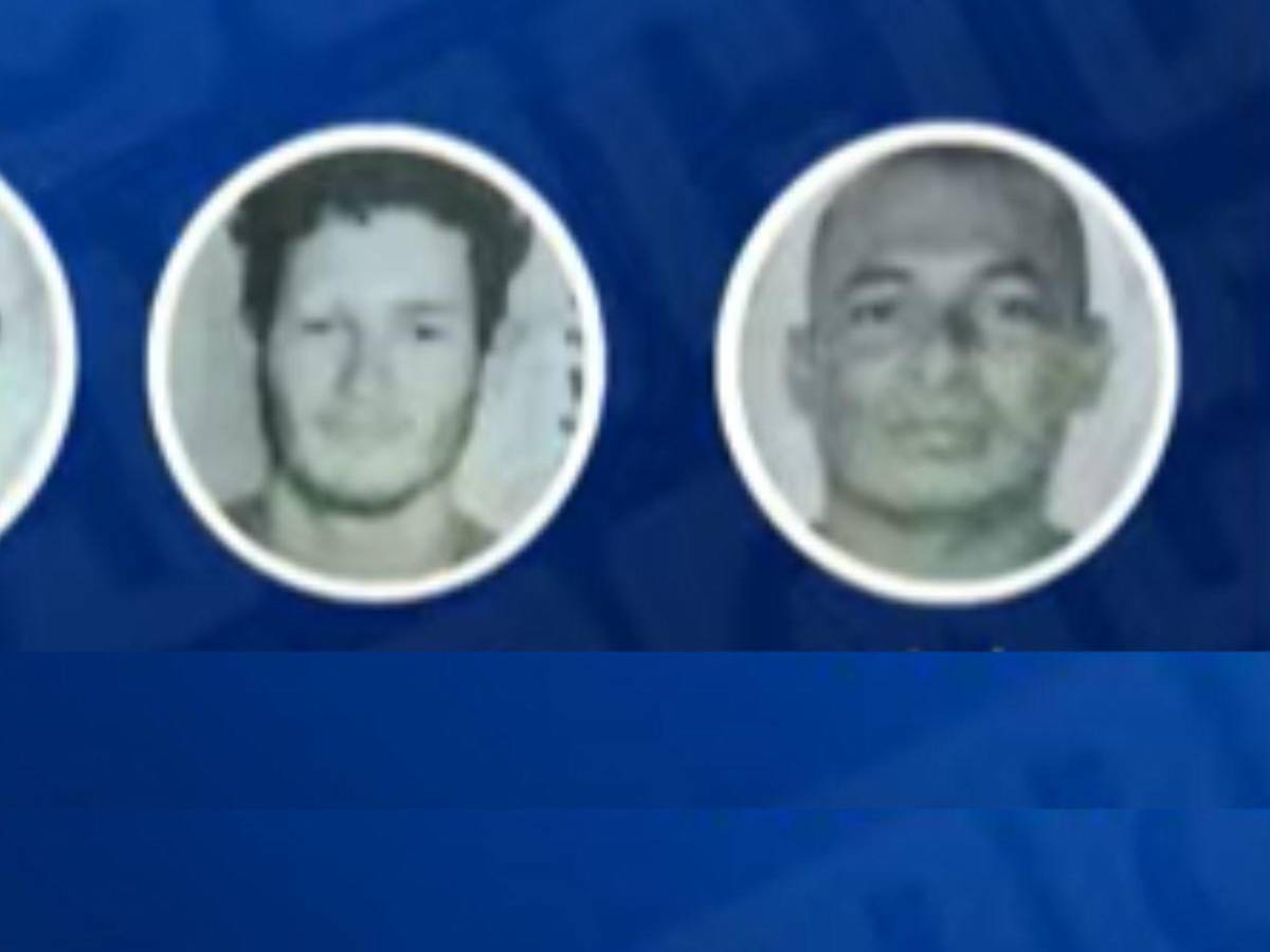 Escaparon por una ventana: hondureños narran horror al ser reclutados bajo engaños para pelear en guerra Rusia-Ucrania