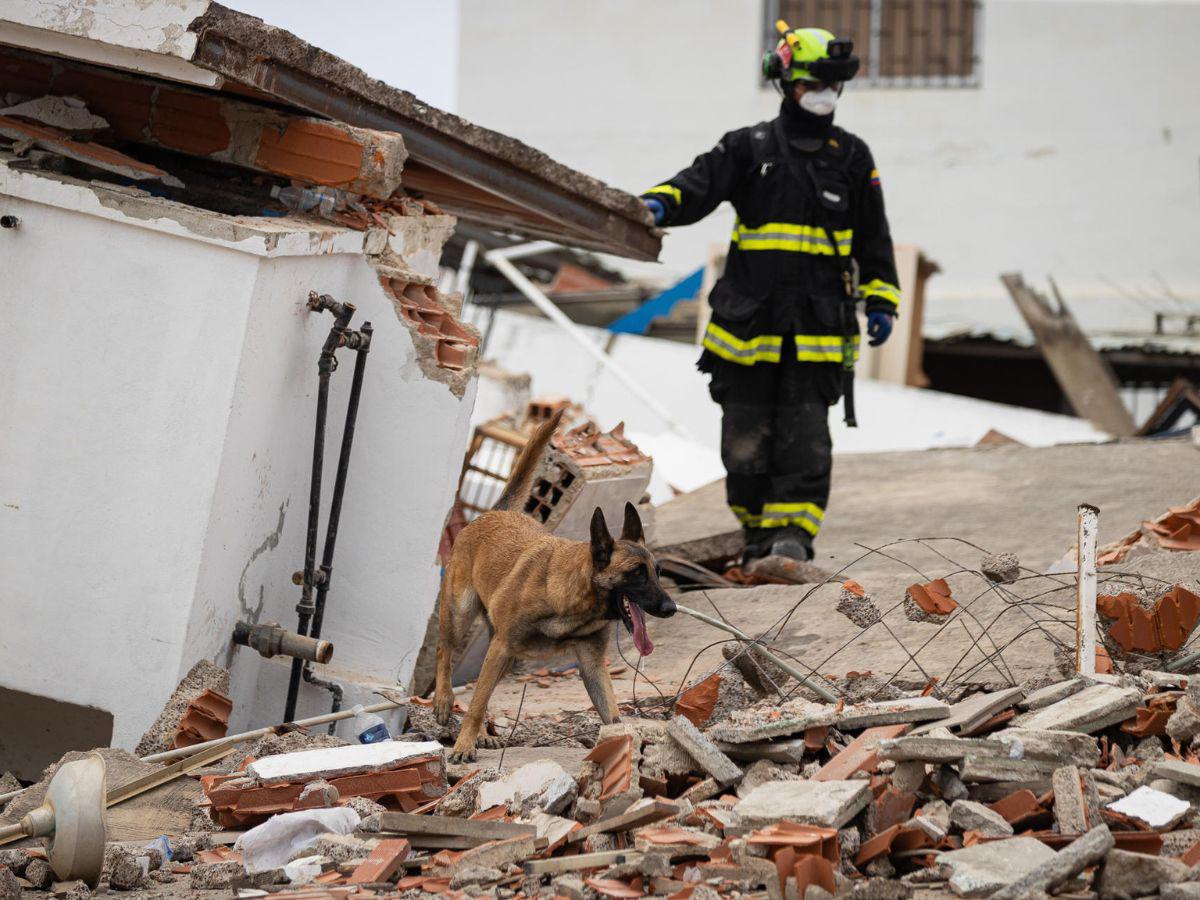 Terremotos en Venezuela: España cierra hospital de campaña tras atender a miles de damnificados
