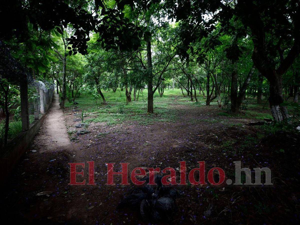 Cuentan con el “Cerrito de la Felicidad”.