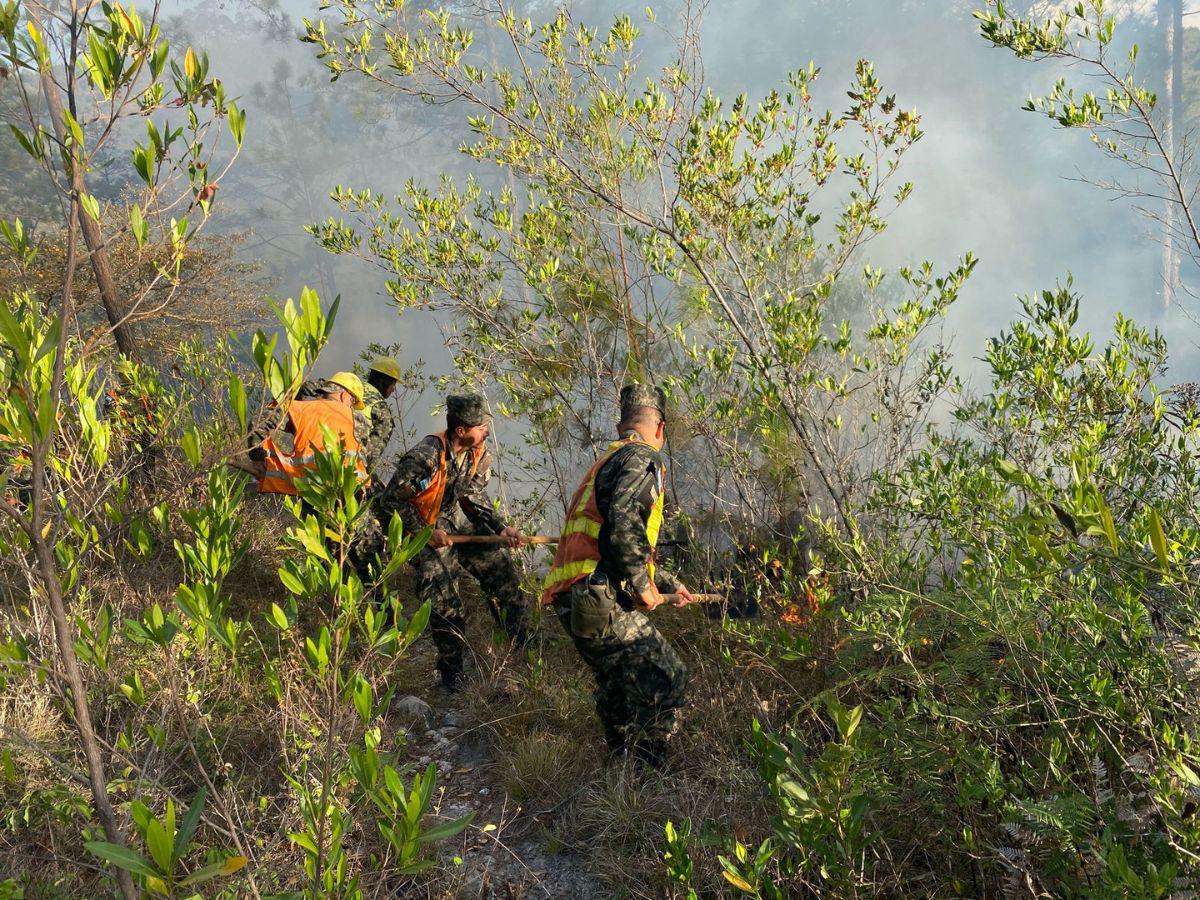¡Arde en llamas Triquilapa! El fuego devora uno de los pulmones de Tegucigalpa