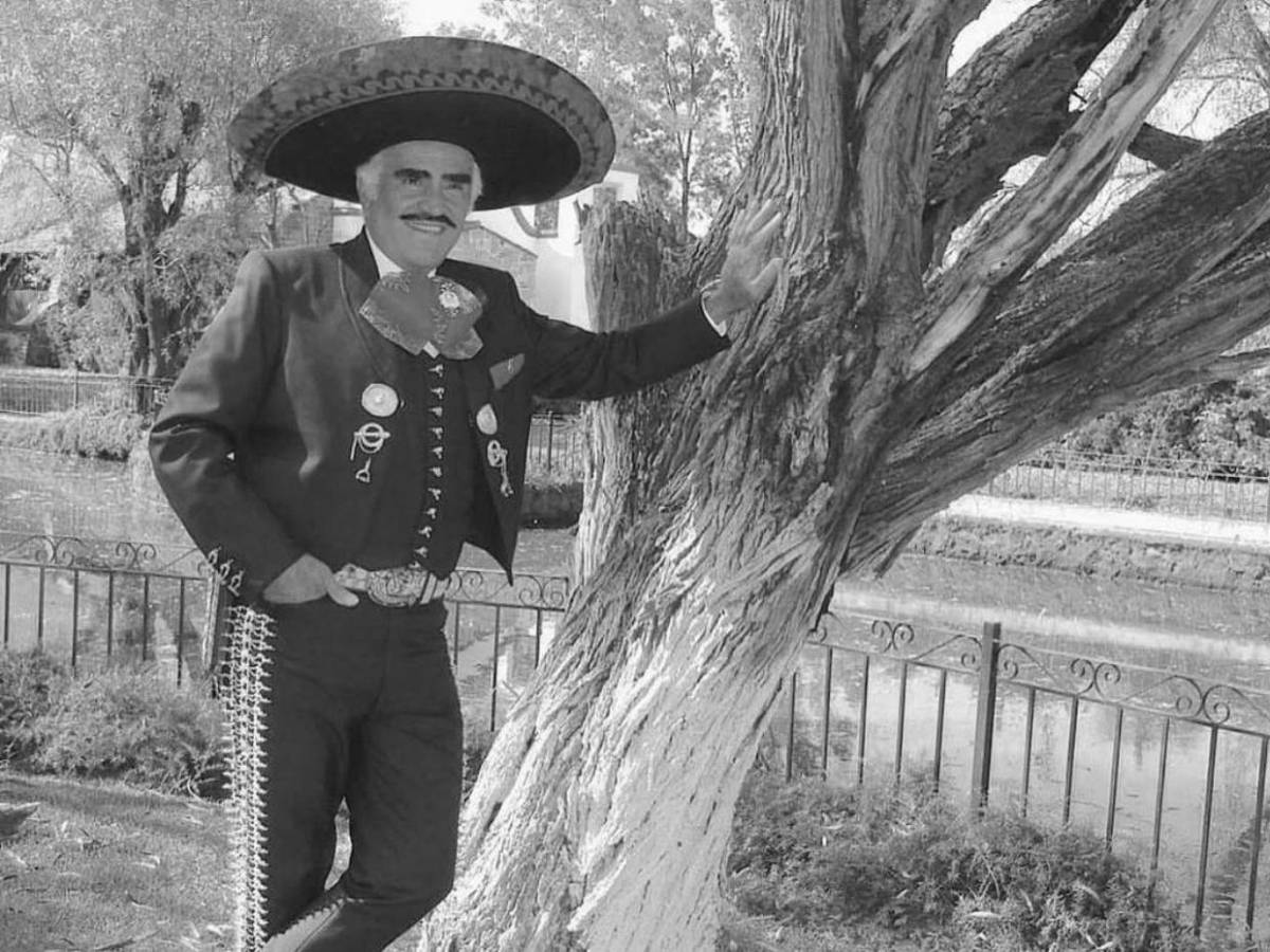 La trágica historia real detrás de Un millón de primaveras, el éxito de Vicente Fernández