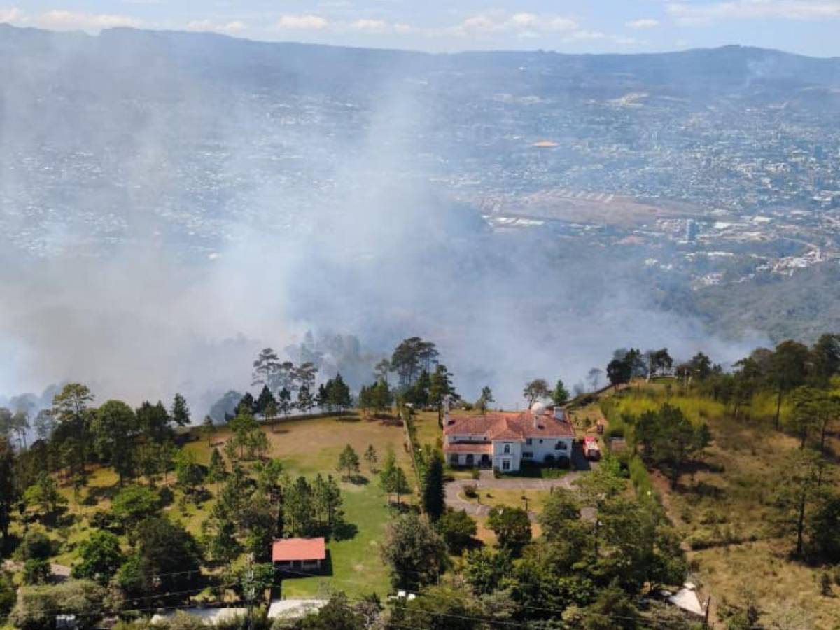 FF AA combaten siete incendios forestales en distintas zonas del país