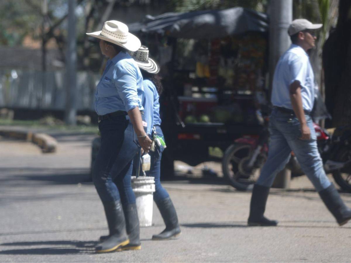 Narcotráfico y peleas de territorio disparan violencia en Catacamas