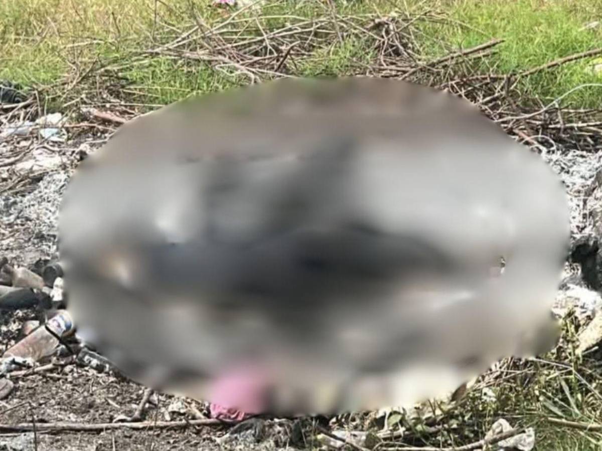 Toallas y maletas usaron para ocultar cadáver de Franklin Villeda y poder incinerarlo