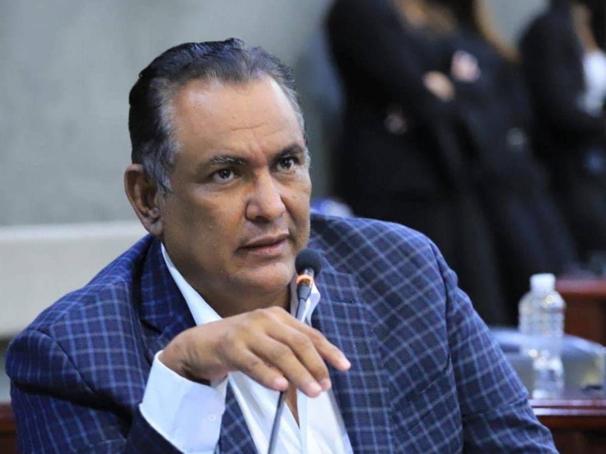 Diputados con más de una década en el Congreso Nacional que buscan reelegirse