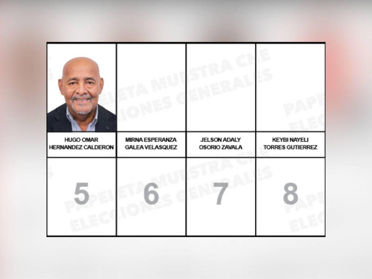 ¿Quiénes son los candidatos a diputados por el PINU-SD, de Nelson Ávila?