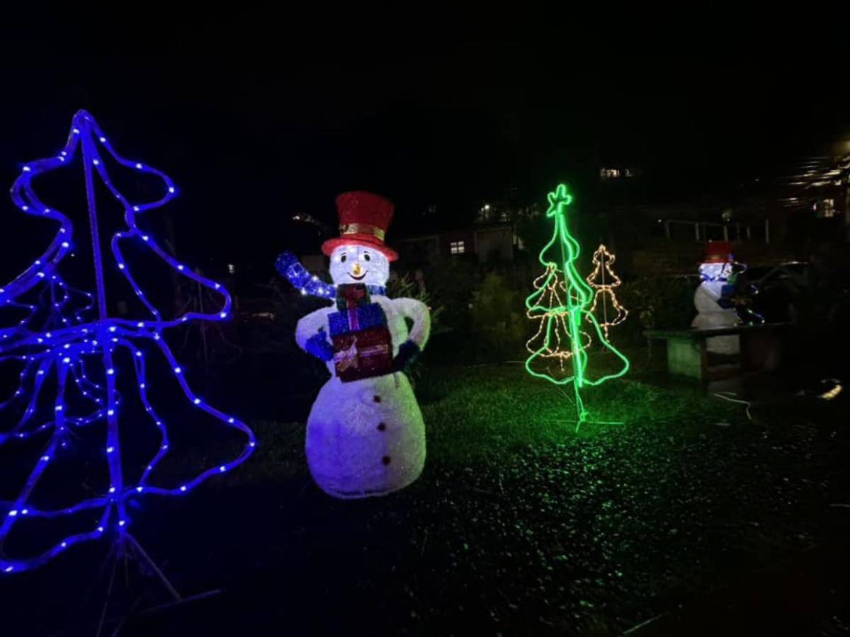 Horarios y lugares que puedes visitar con tu familia en esta Navidad y Año Nuevo Horarios y lugares que puedes visitar con tu familia en esta Navidad y Año Nuevo