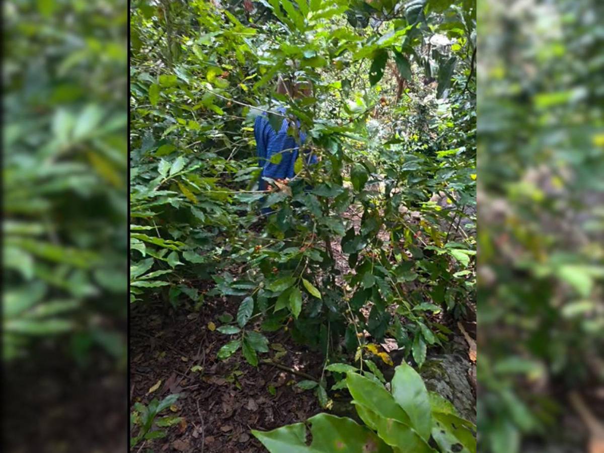 De difícil acceso y zona boscosa: revelan cómo es el lugar donde hallaron el cuerpo de Kimberly