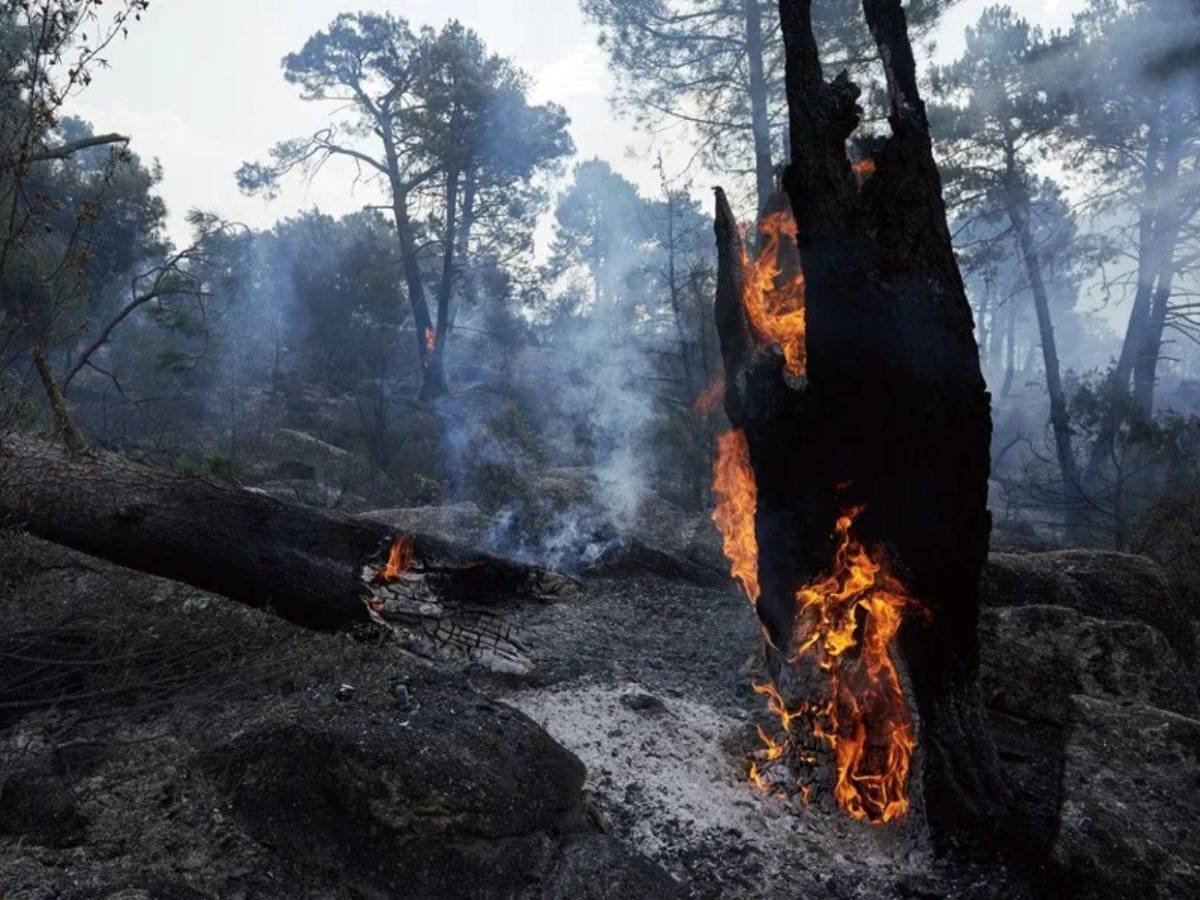 Fuego voraz arrasa con 45,000 hectáreas en España y obliga a evacuar a miles de personas