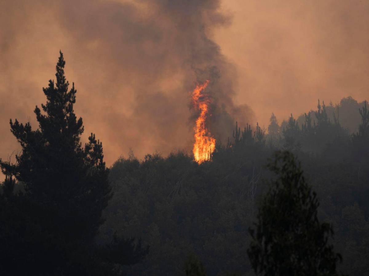 Megaincendios arrasan el sur de Chile y autoridades decretan estado de catástrofe