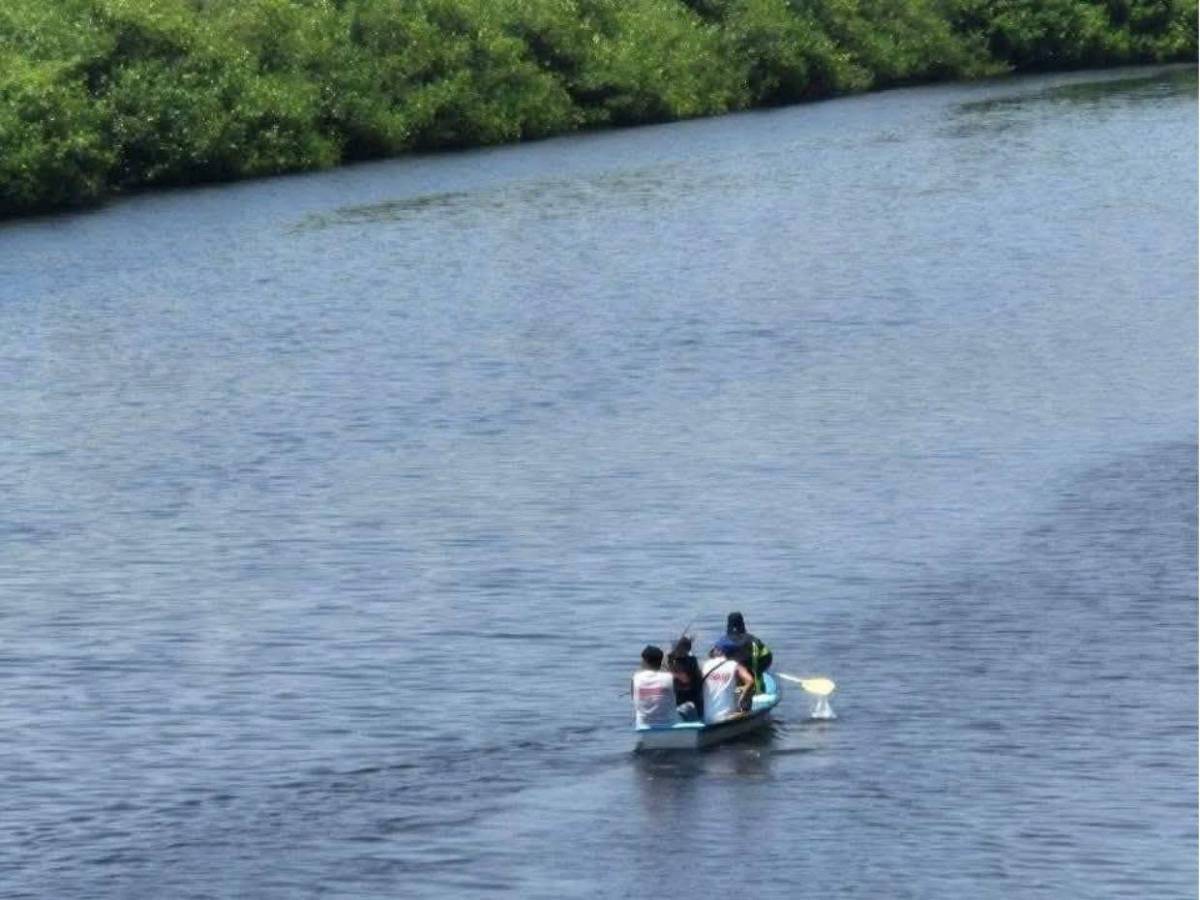 Adolescente de 14 años muere devorado por cocodrilos tras caer de un puente en México
