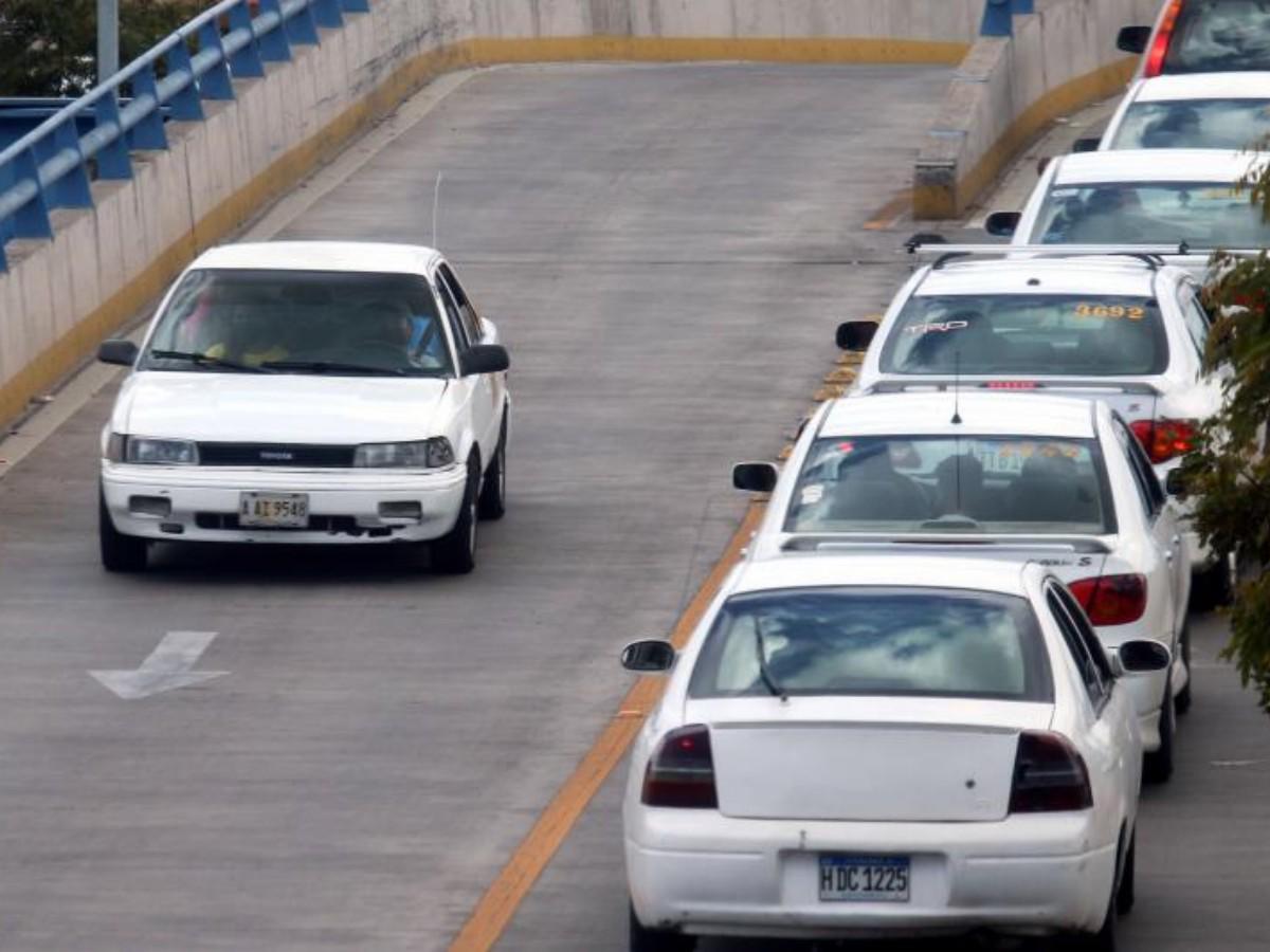 Taxistas se someterán a pruebas de dopaje en proceso de certificación