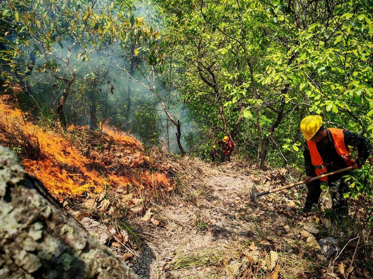 Solo durante el fin de semana se registraron 15 incendios forestales en Honduras